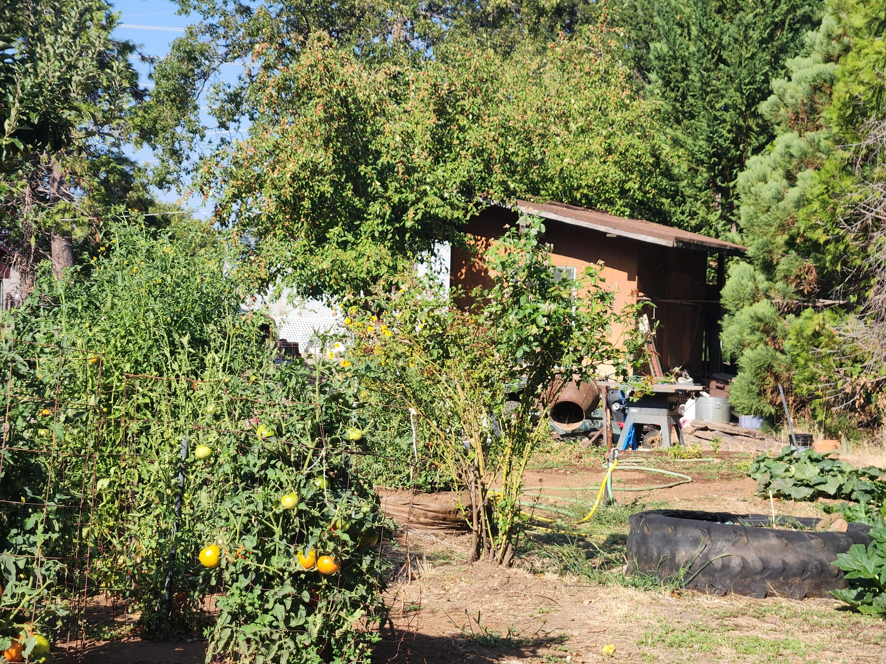 property viewer photo 58