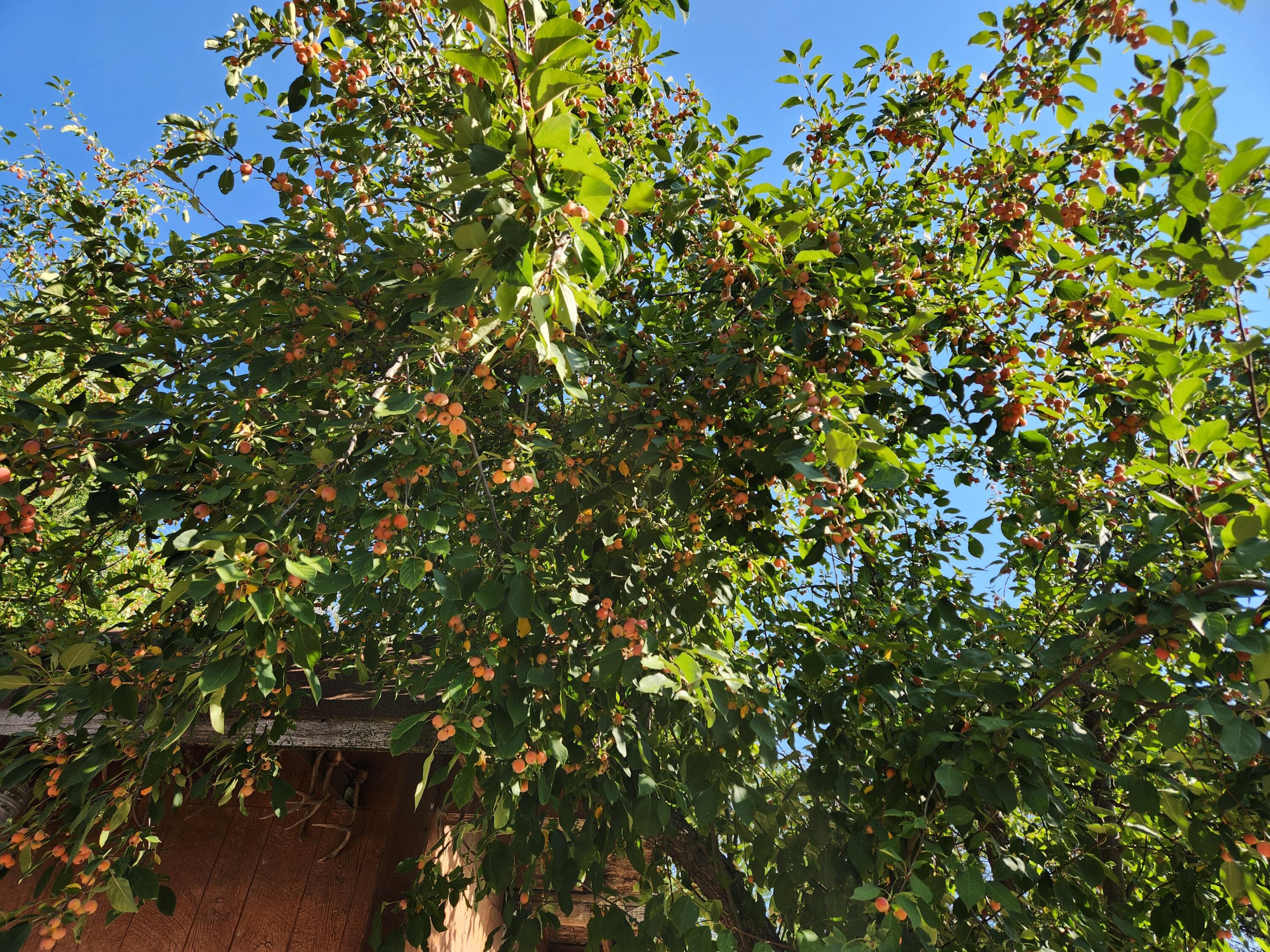 property viewer photo 59