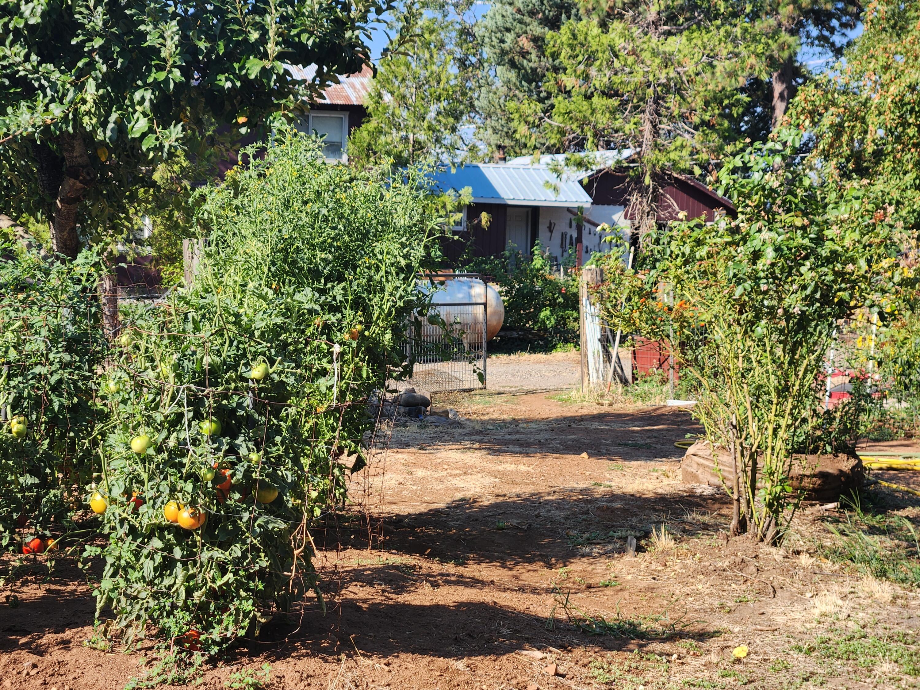 property viewer photo 60