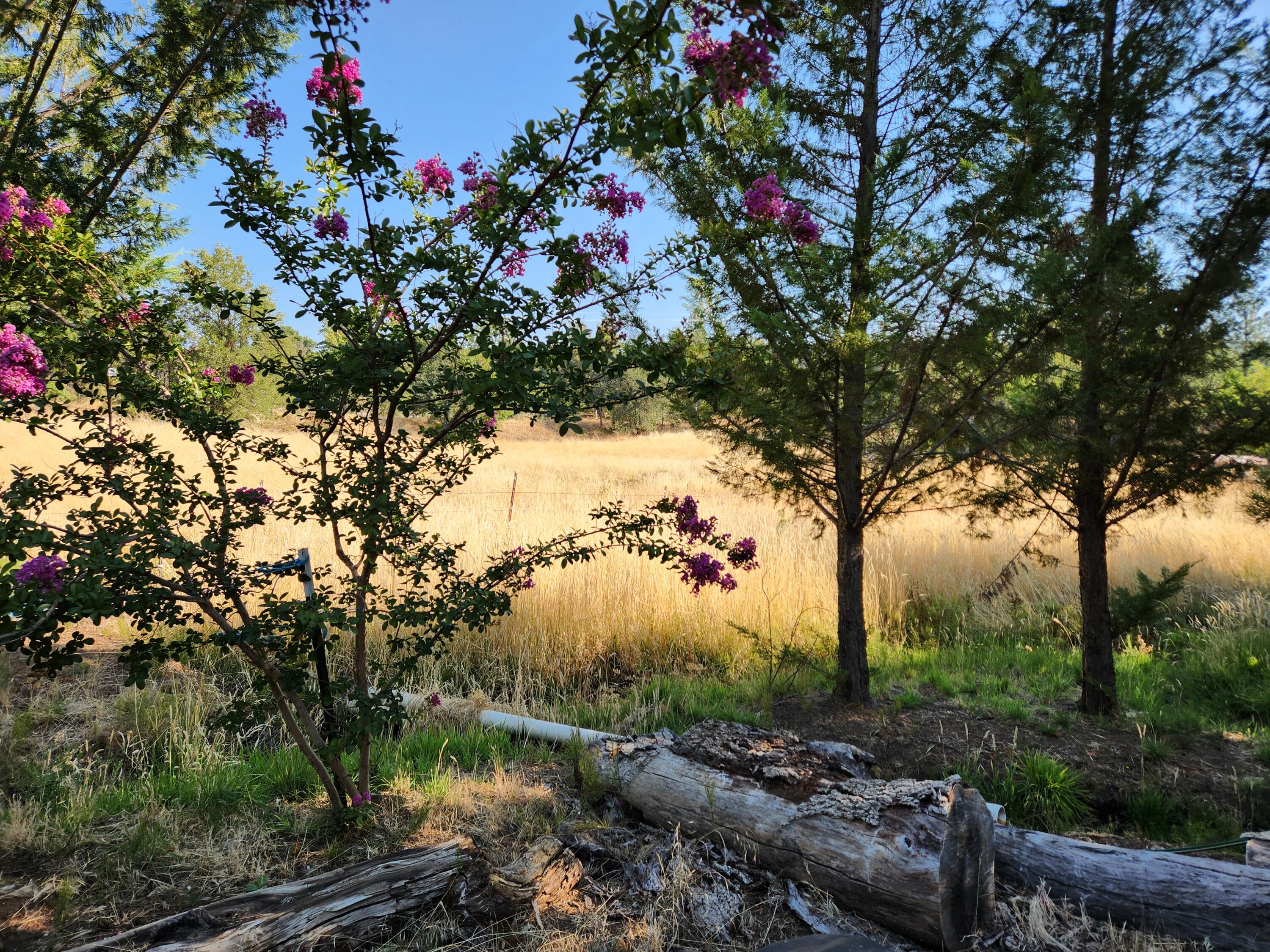 property viewer photo 62