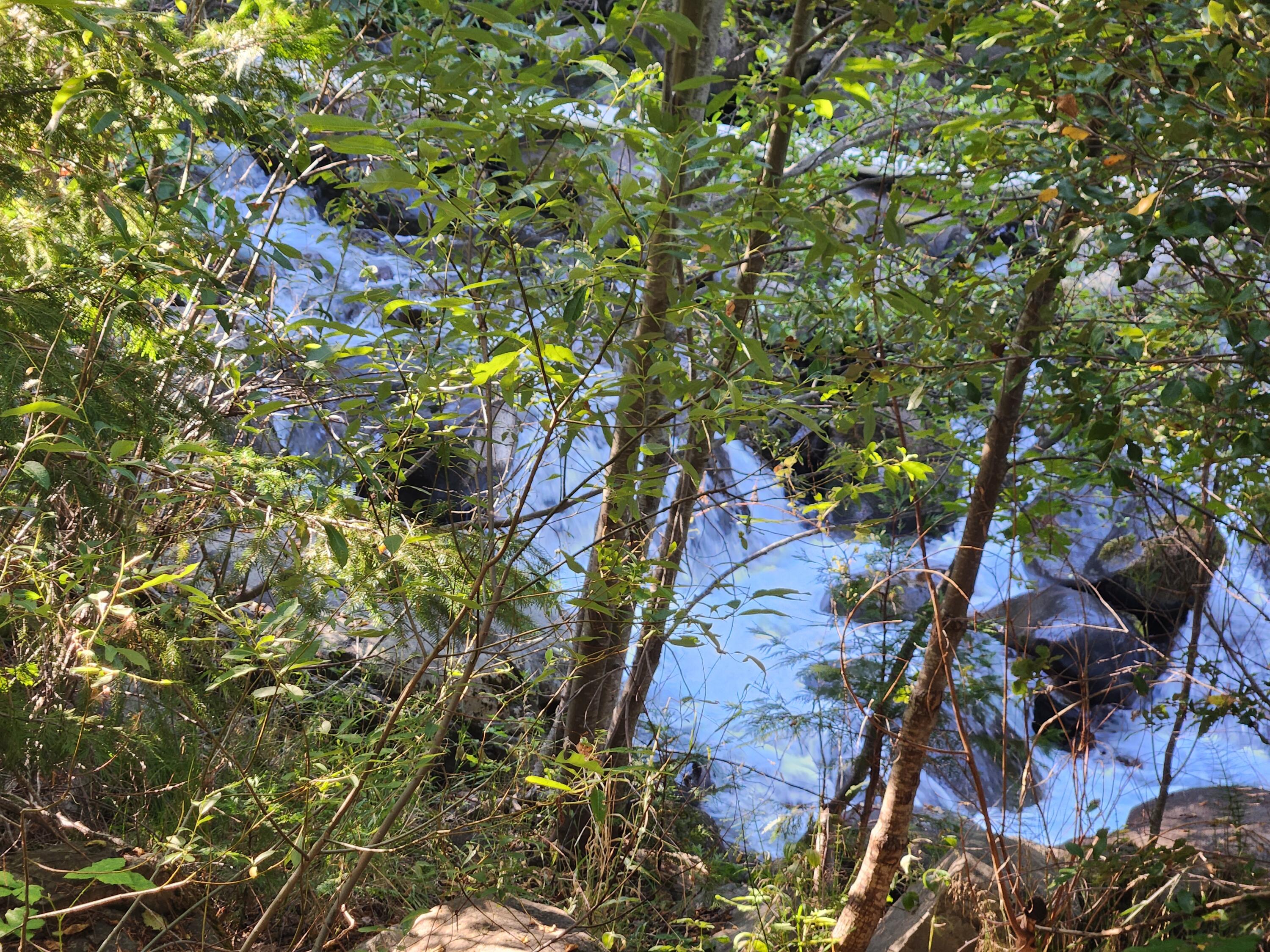 property viewer photo 63