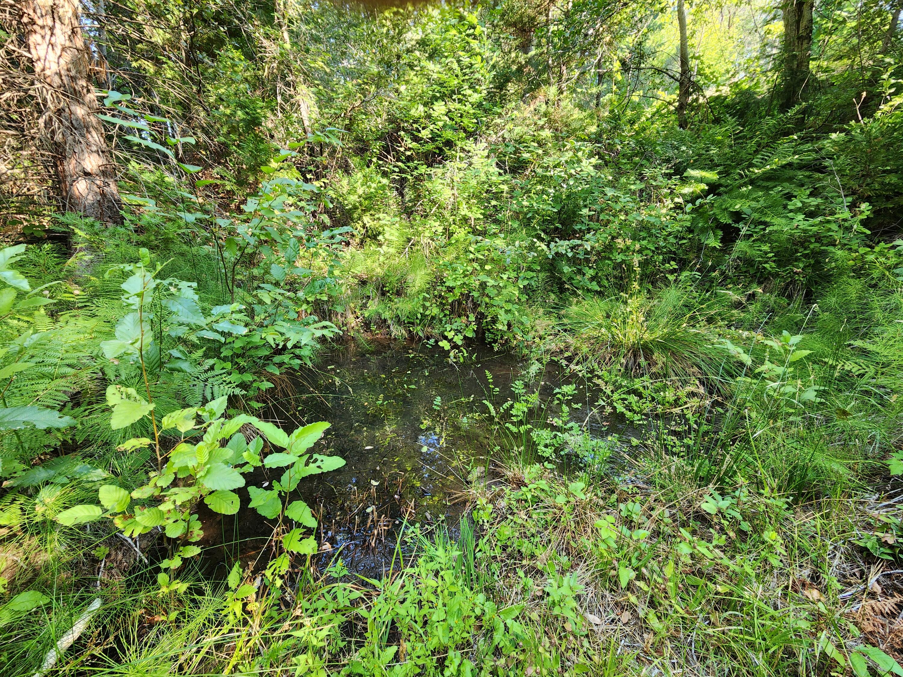 property viewer photo 64