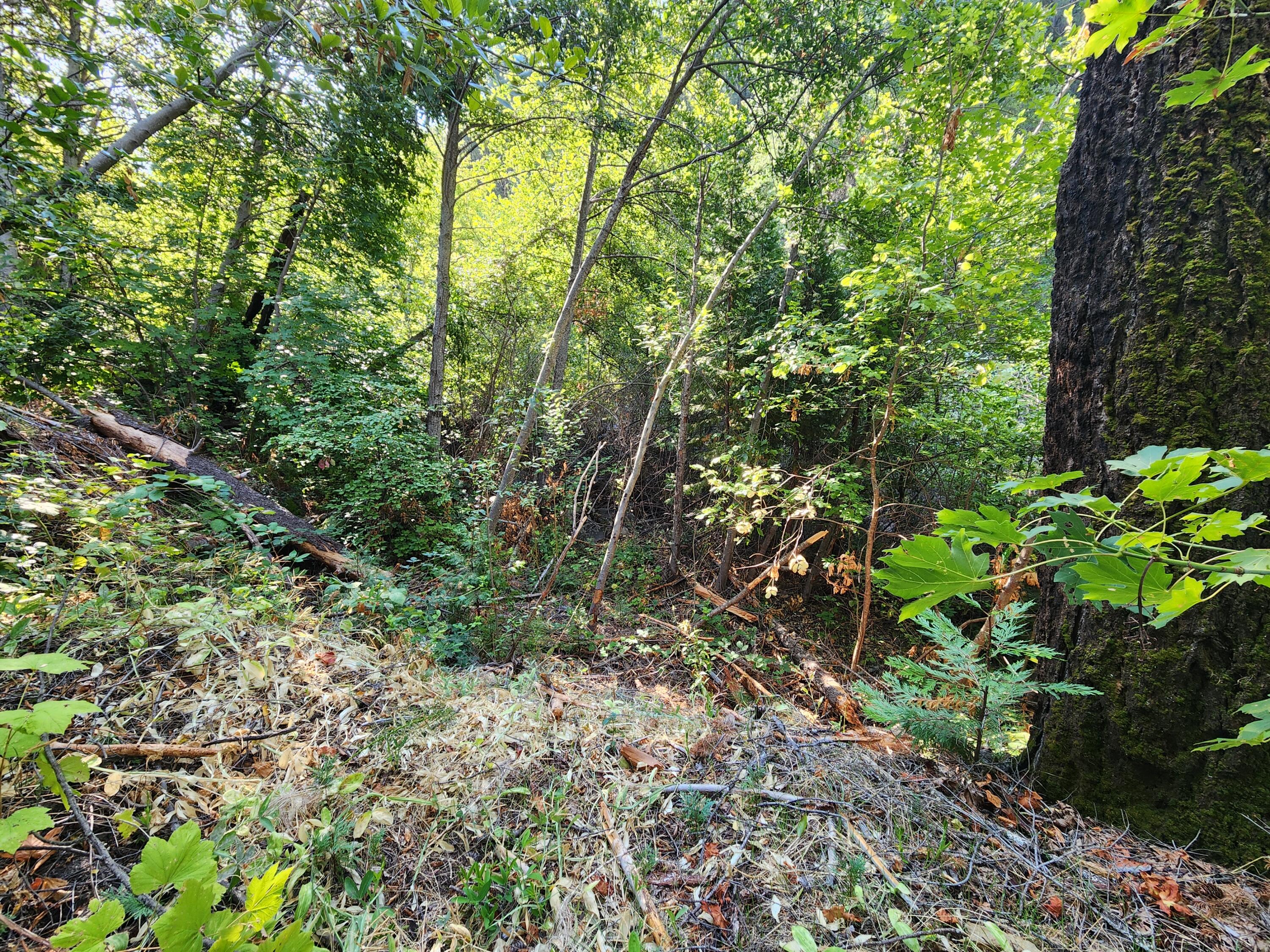property viewer photo 65