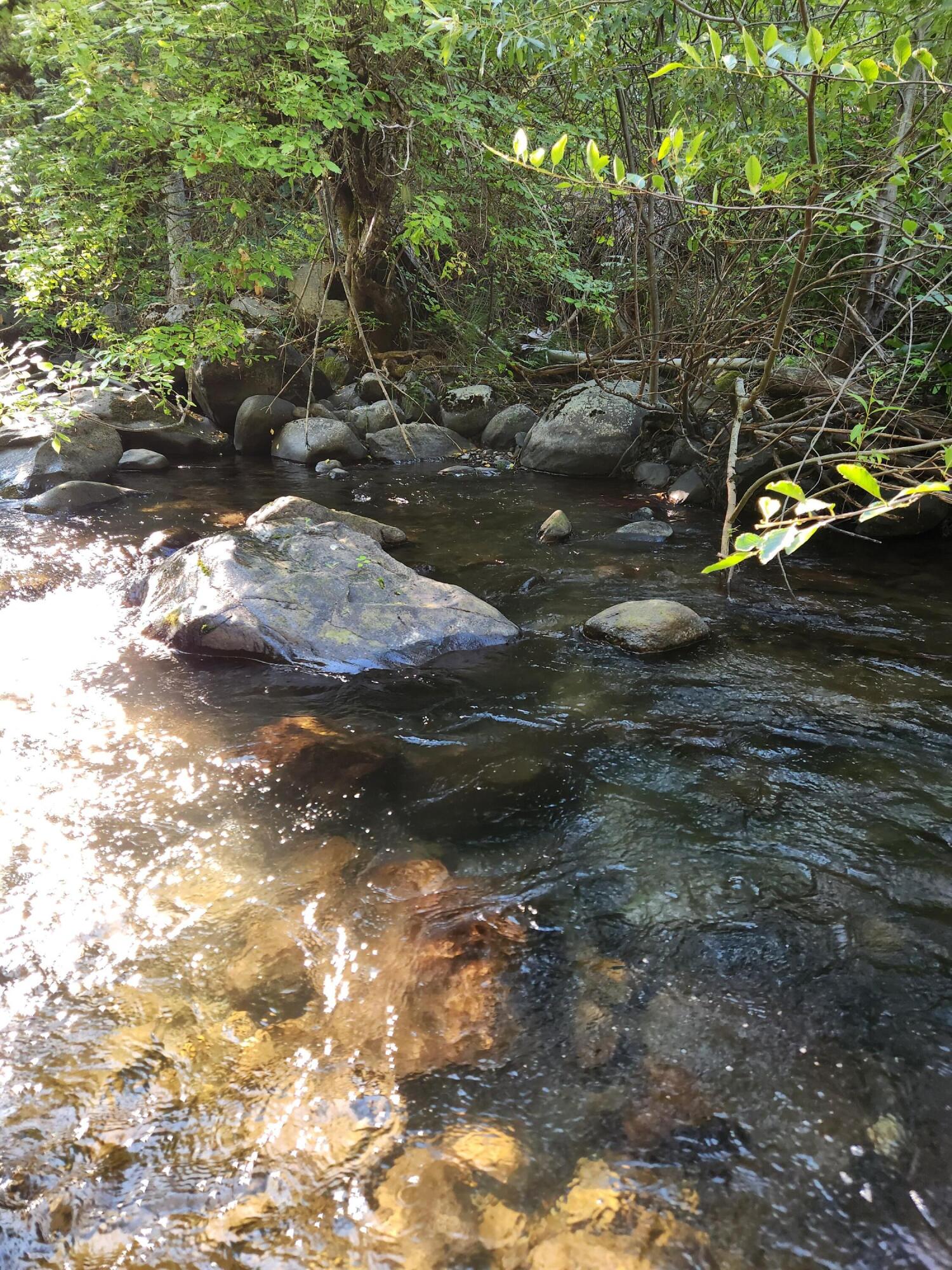 property viewer photo 67