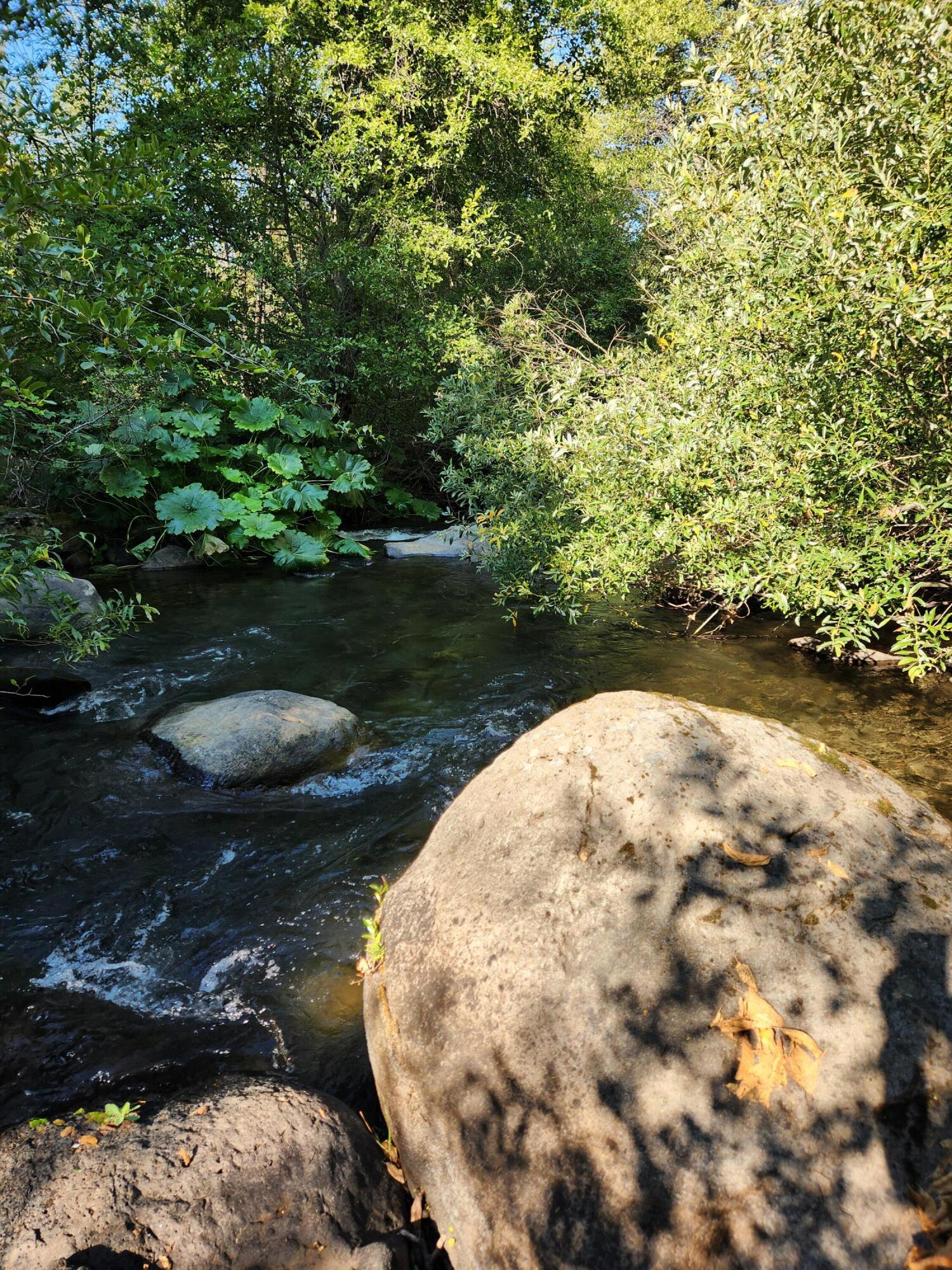 property viewer photo 69
