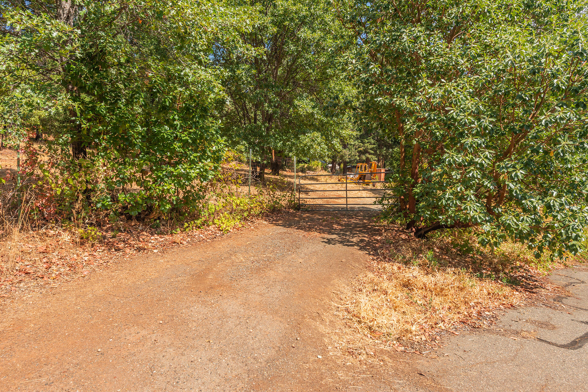 main property photo 9