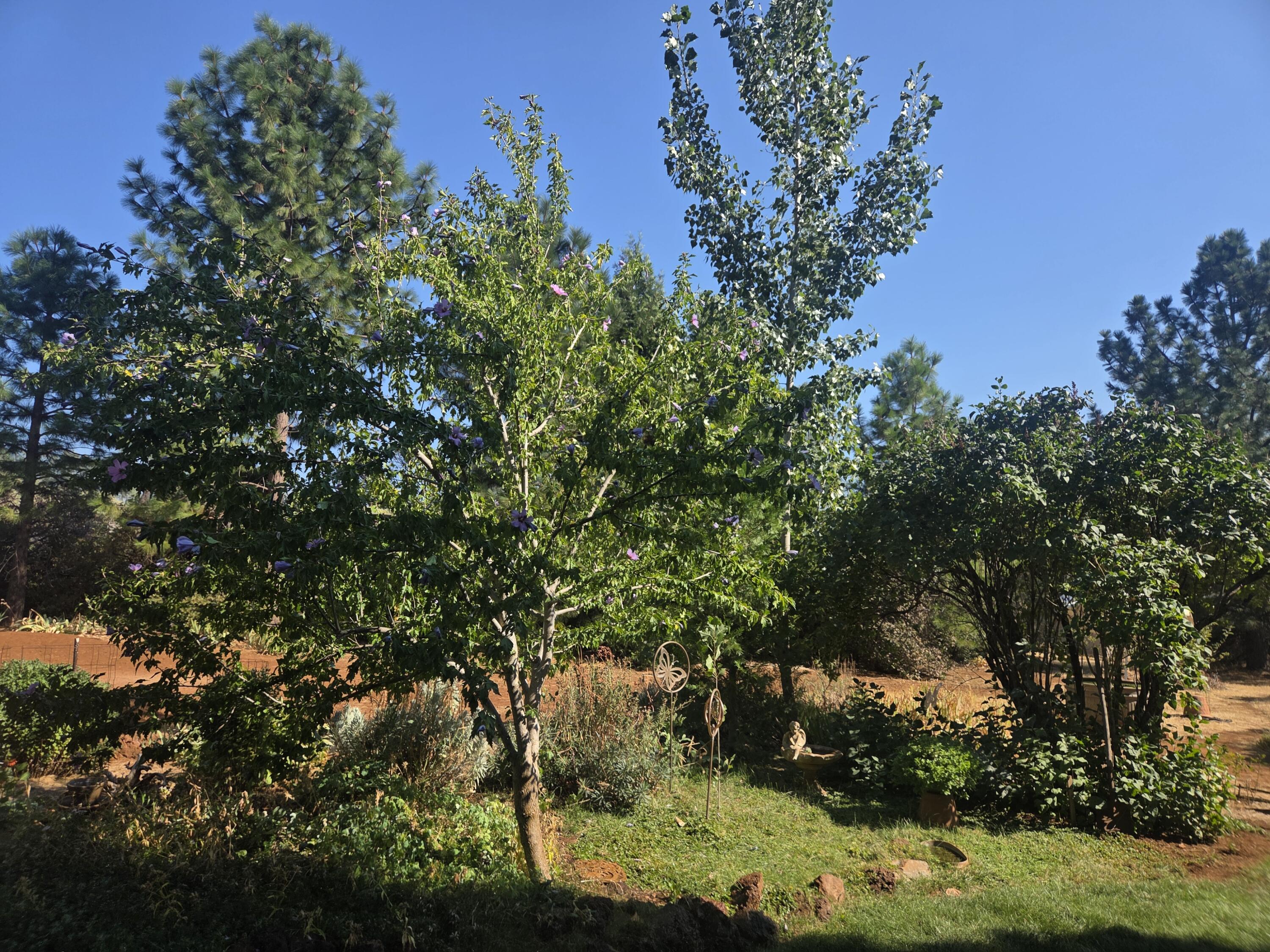 main property photo 78