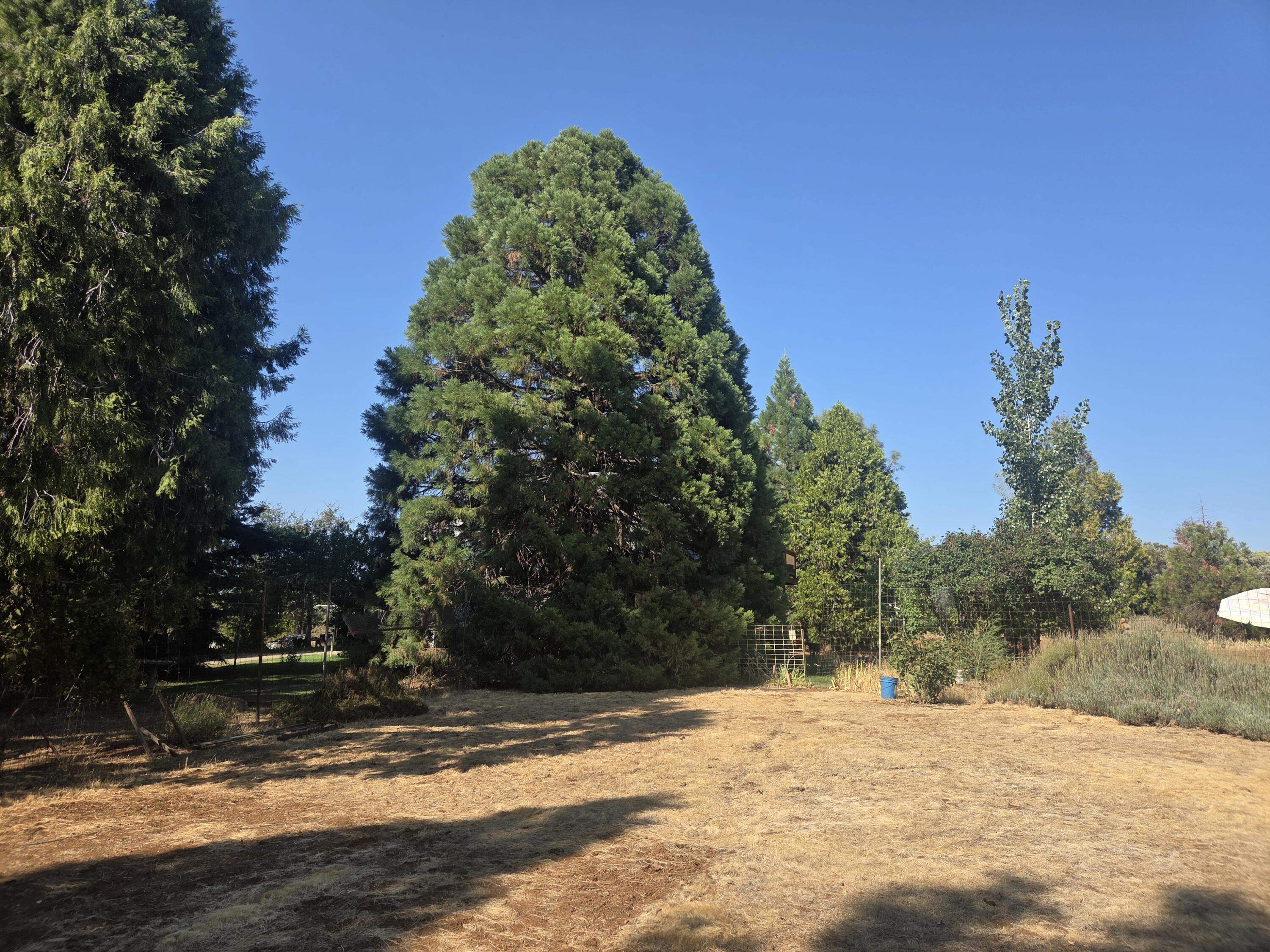 main property photo 81