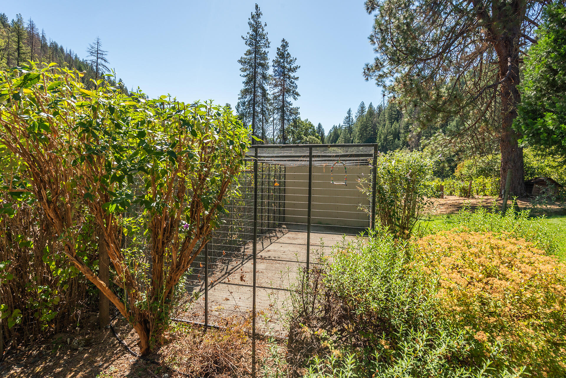 main property photo 71