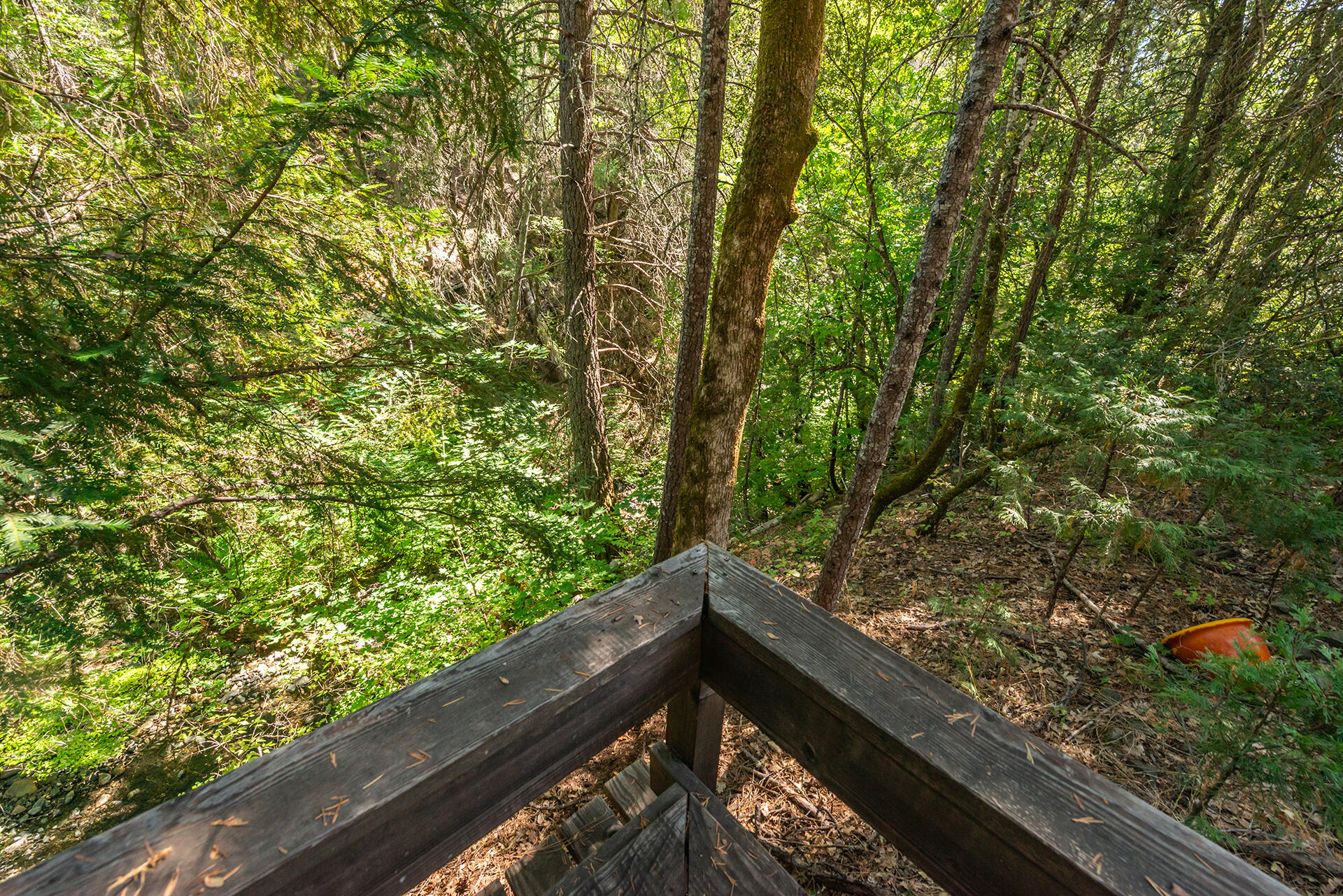 main property photo 79