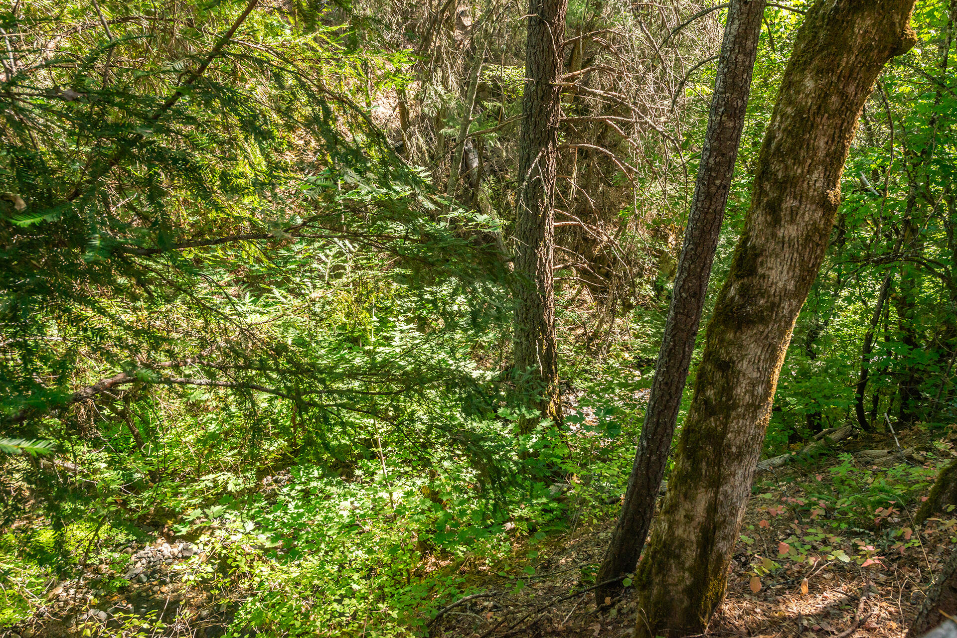 main property photo 81