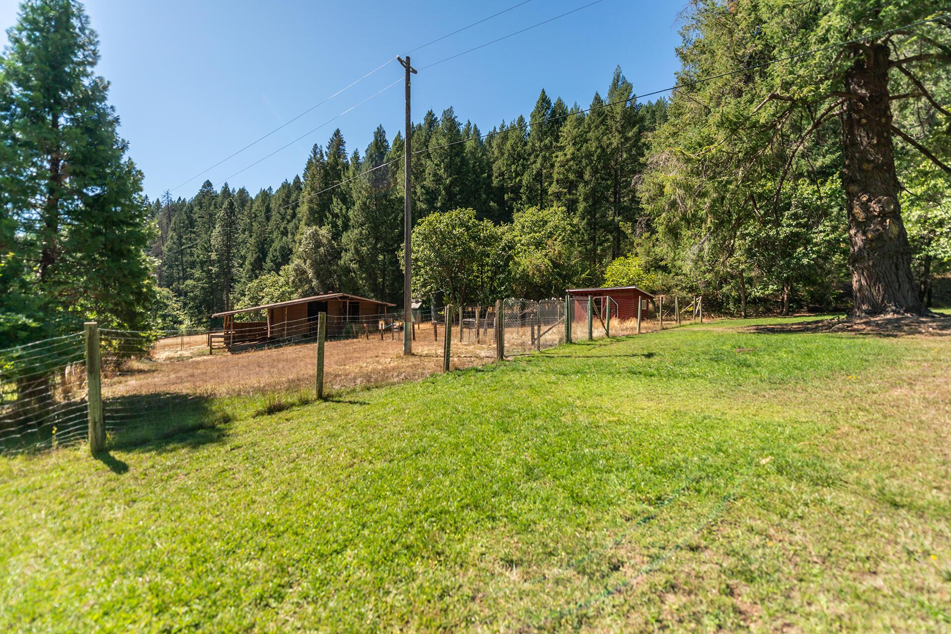 main property photo 84