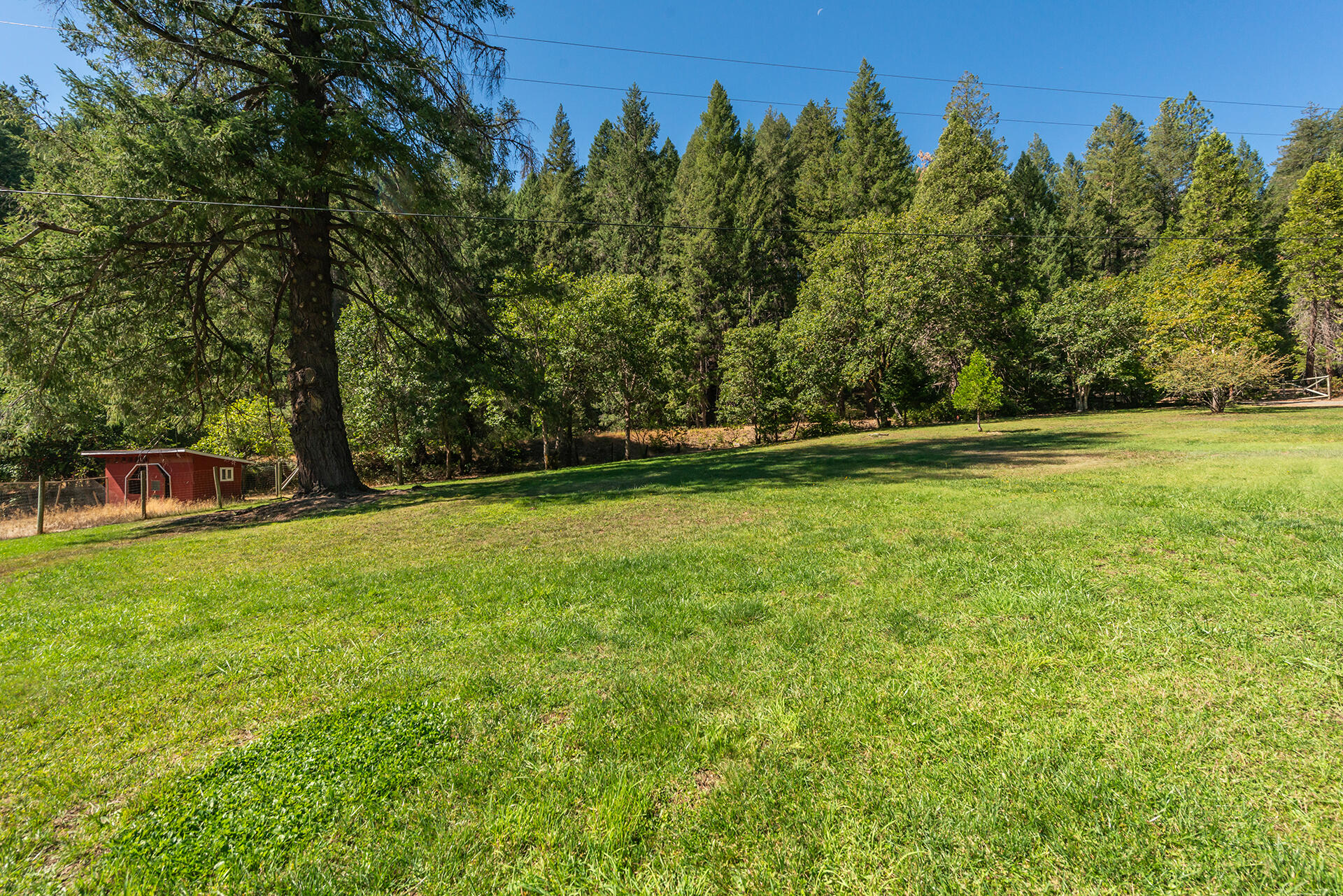 main property photo 91