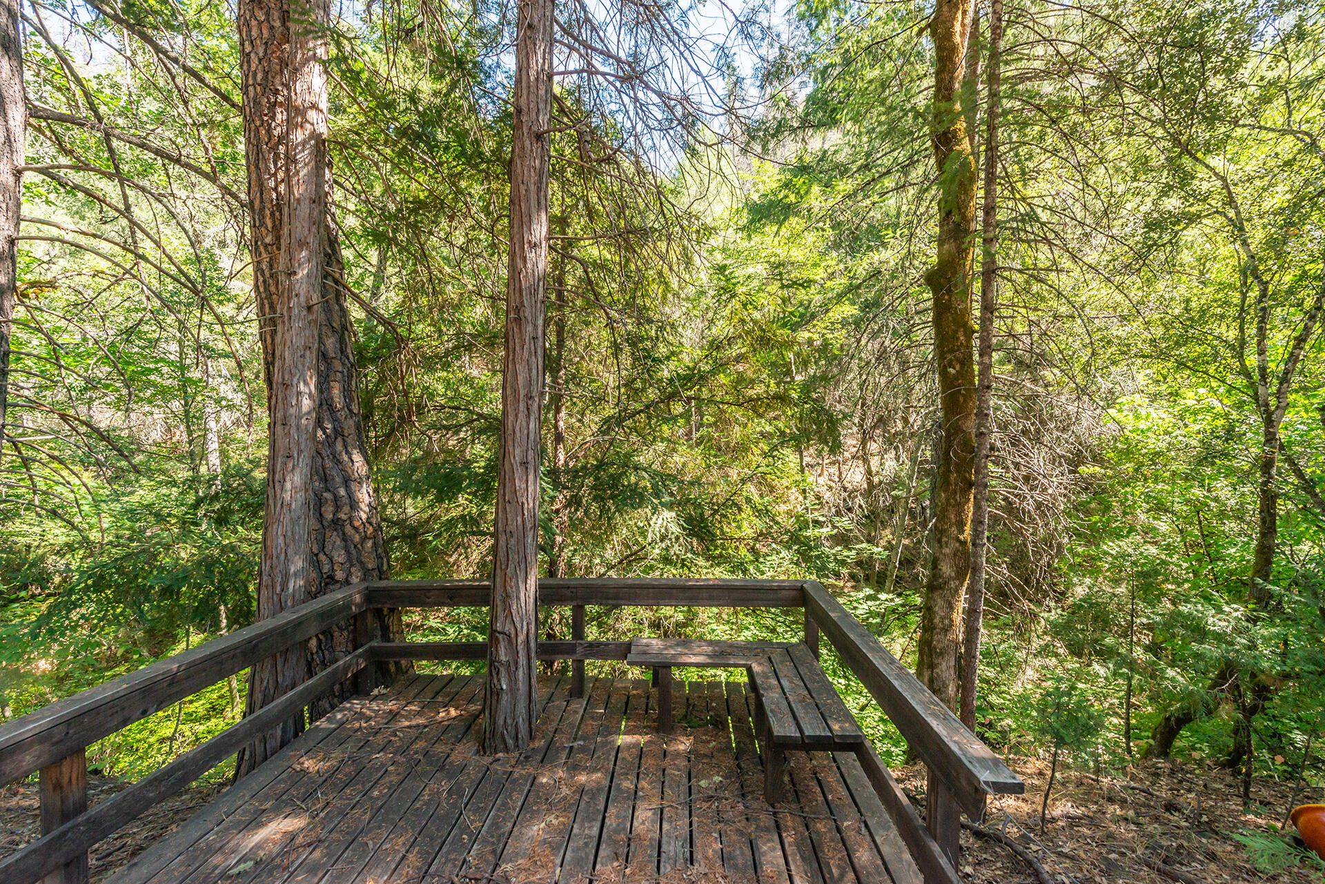 main property photo 93