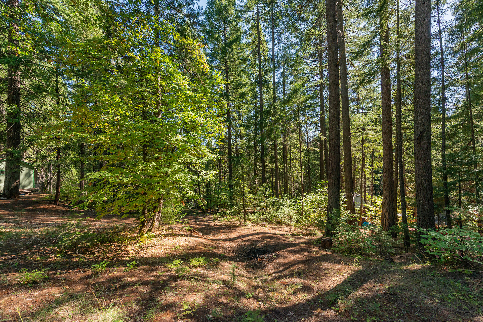 main property photo 38