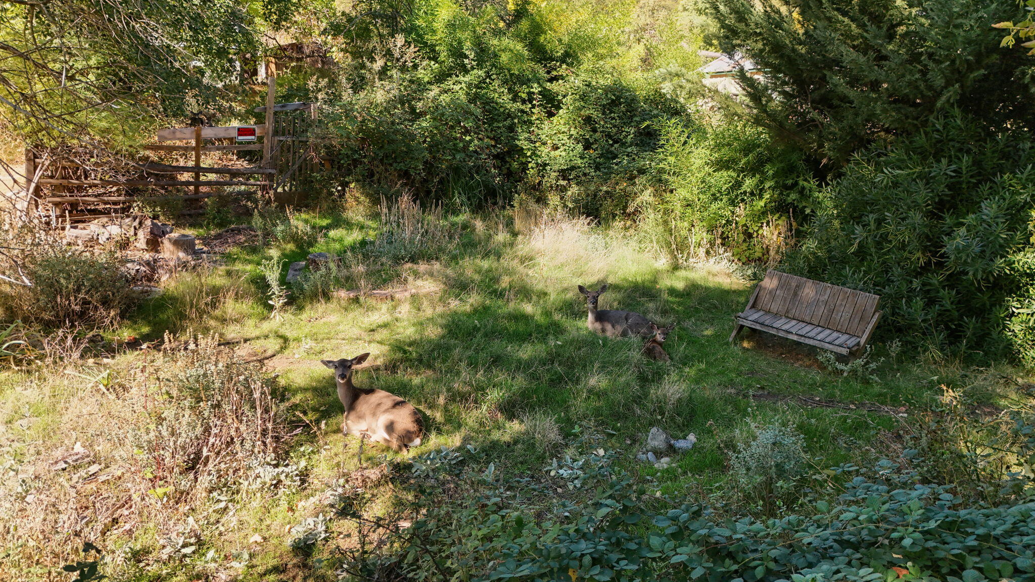 main property photo 27