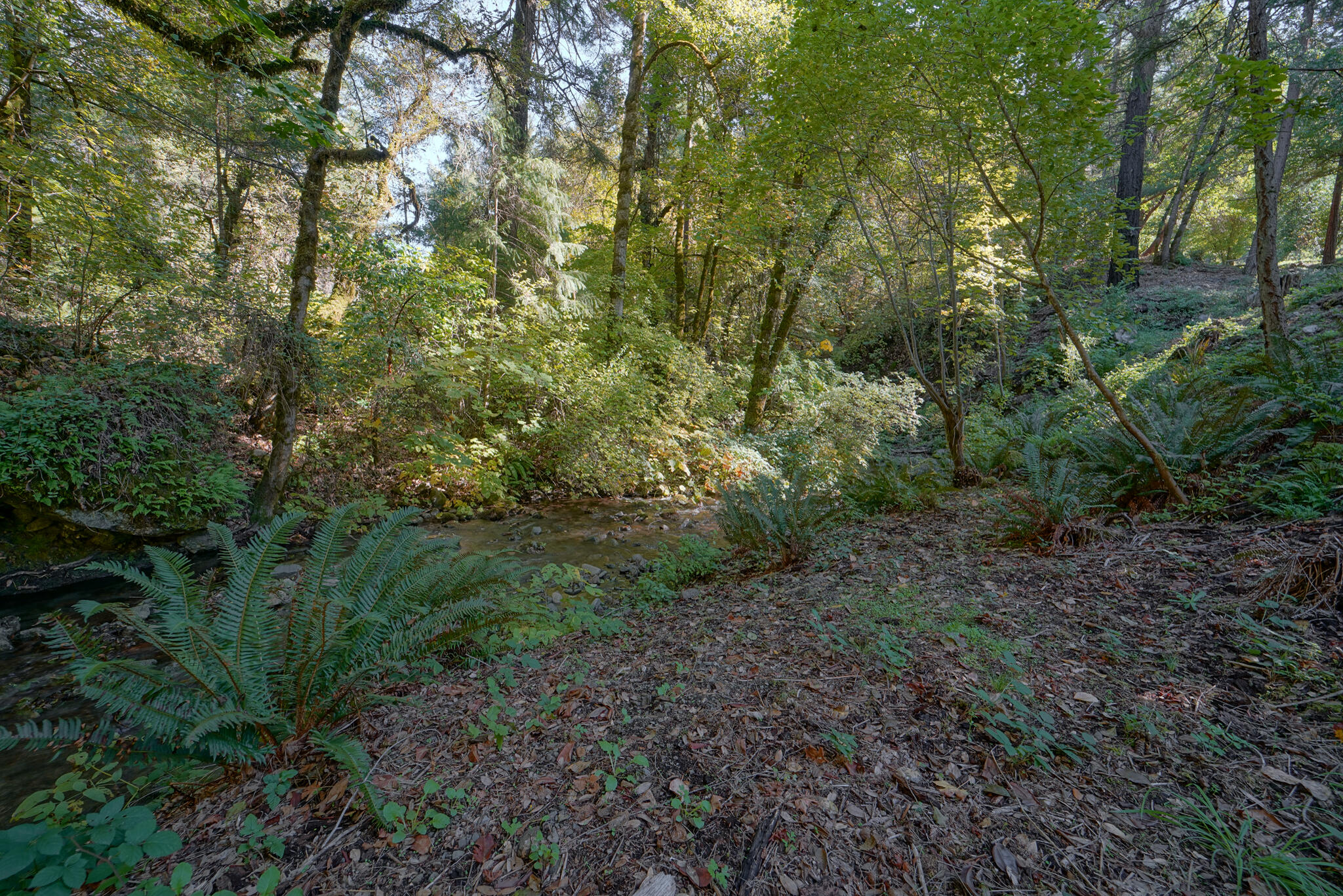 main property photo 12