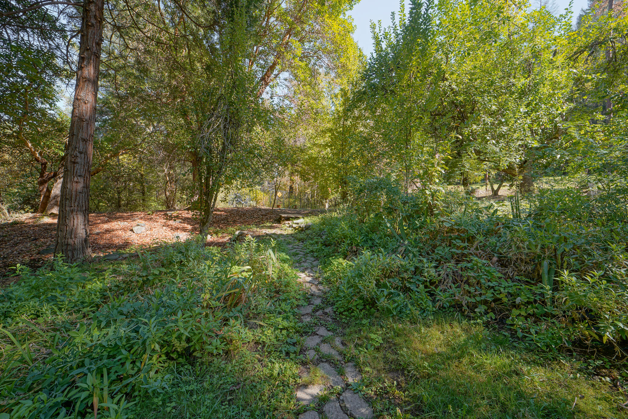 main property photo 14