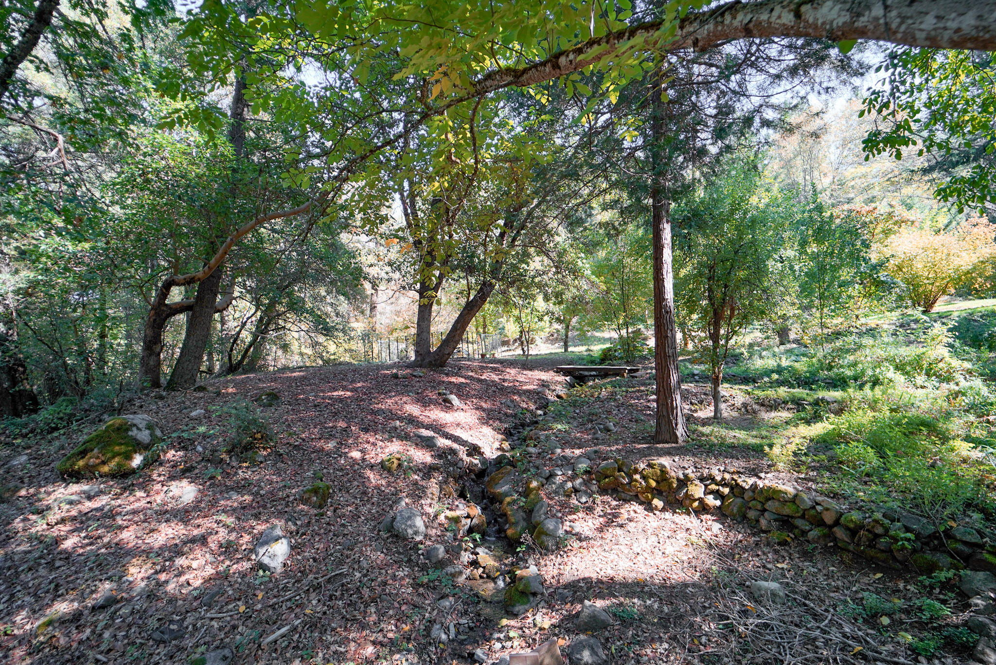 main property photo 50