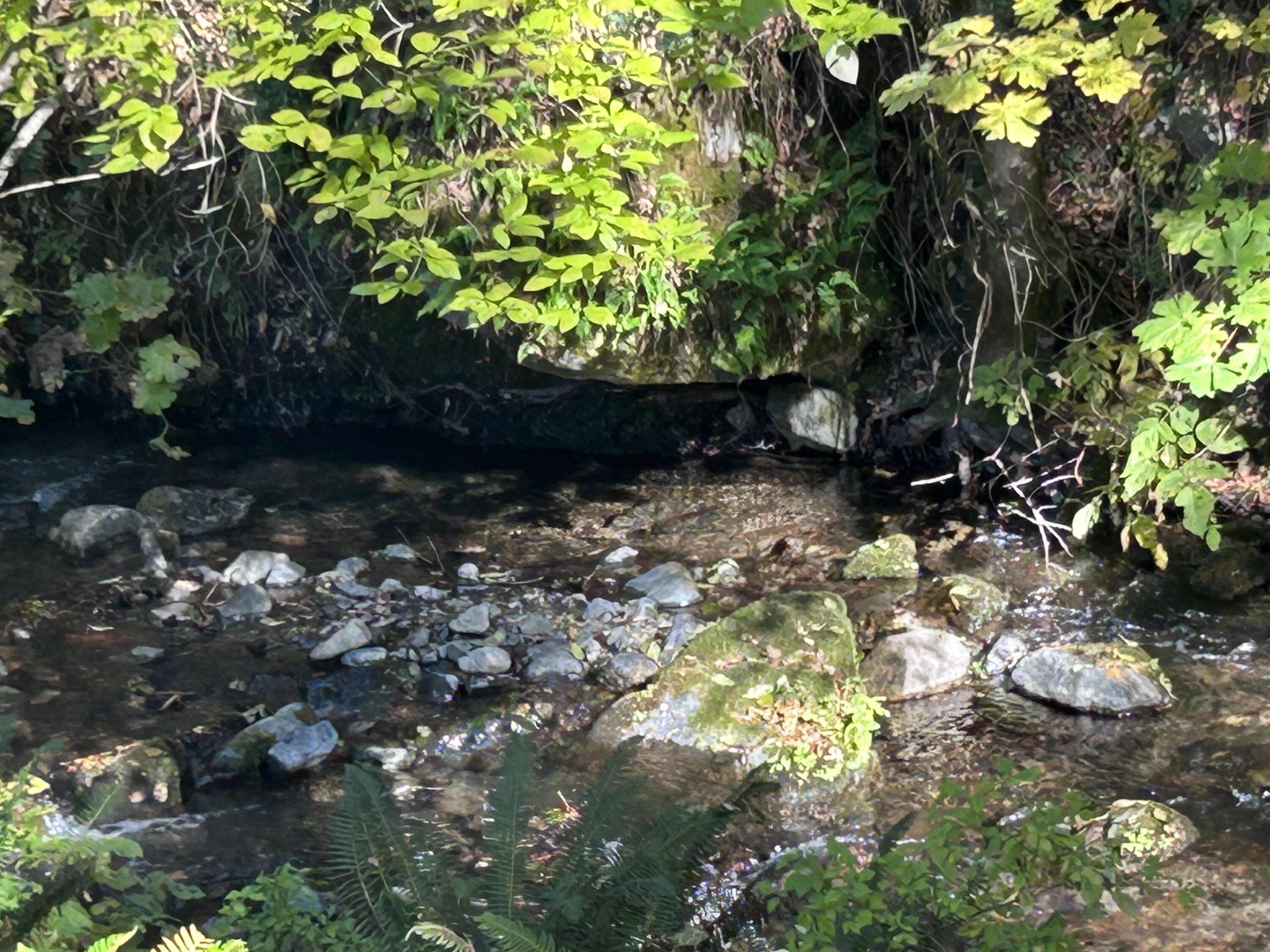 main property photo 52