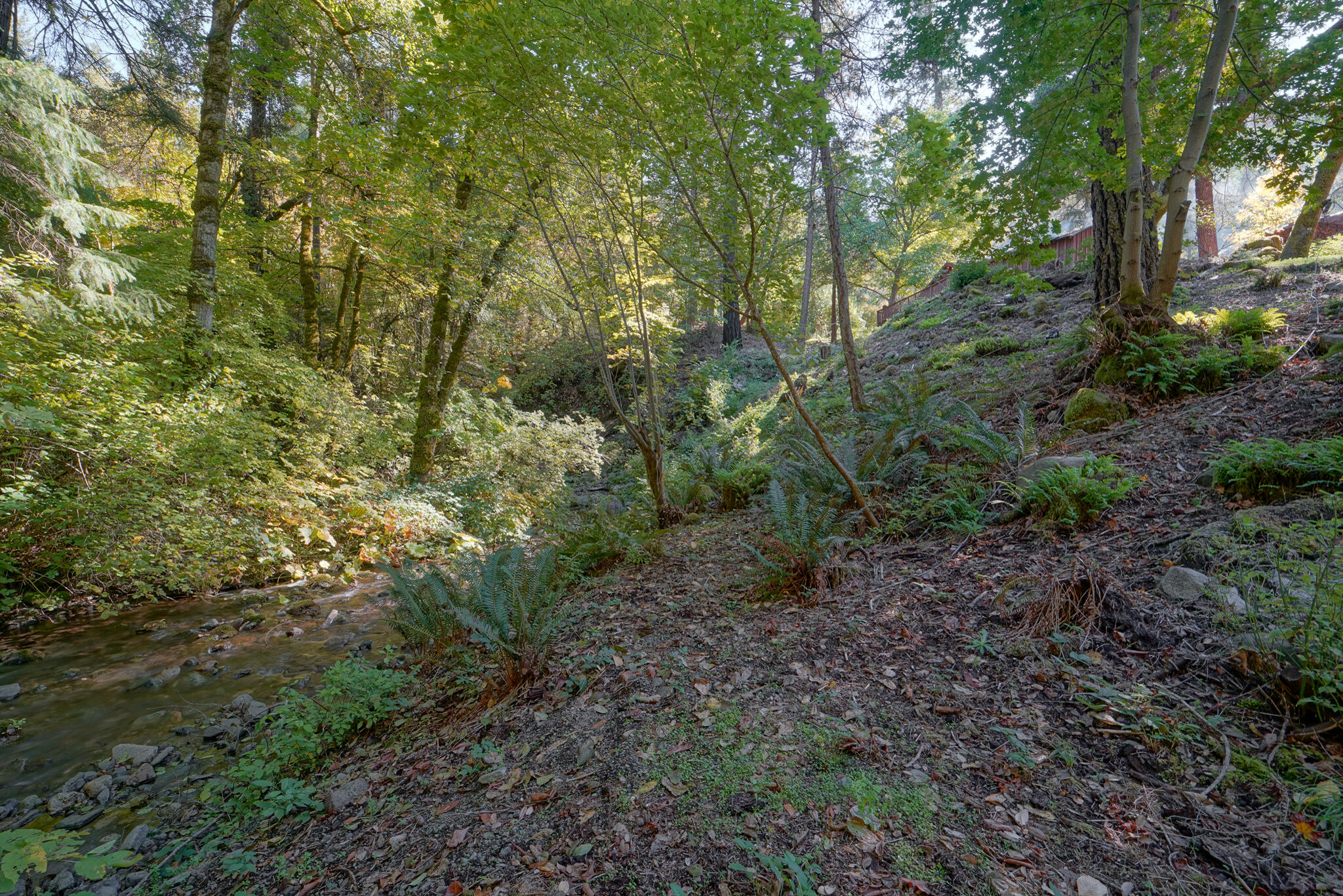 main property photo 54