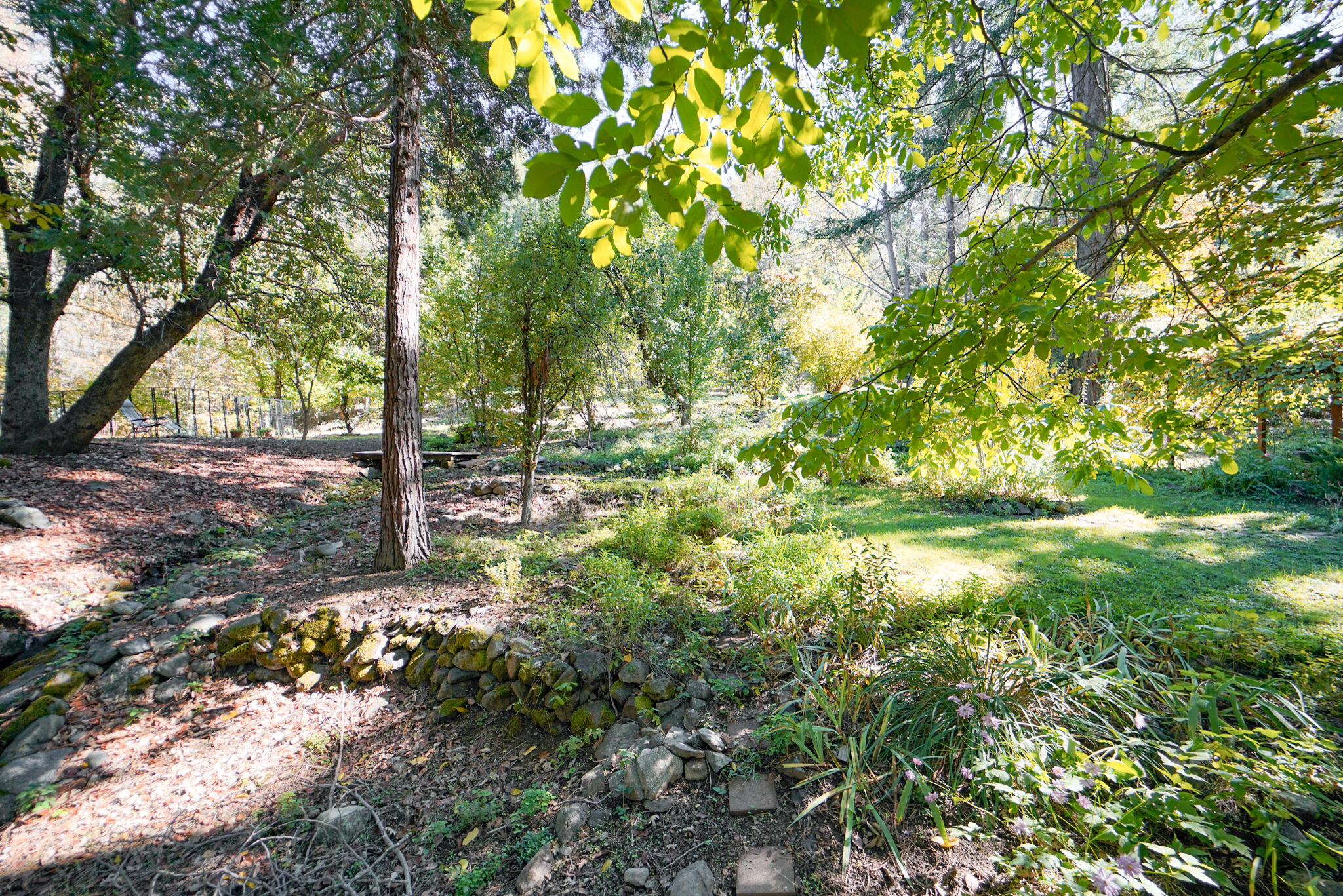 main property photo 55