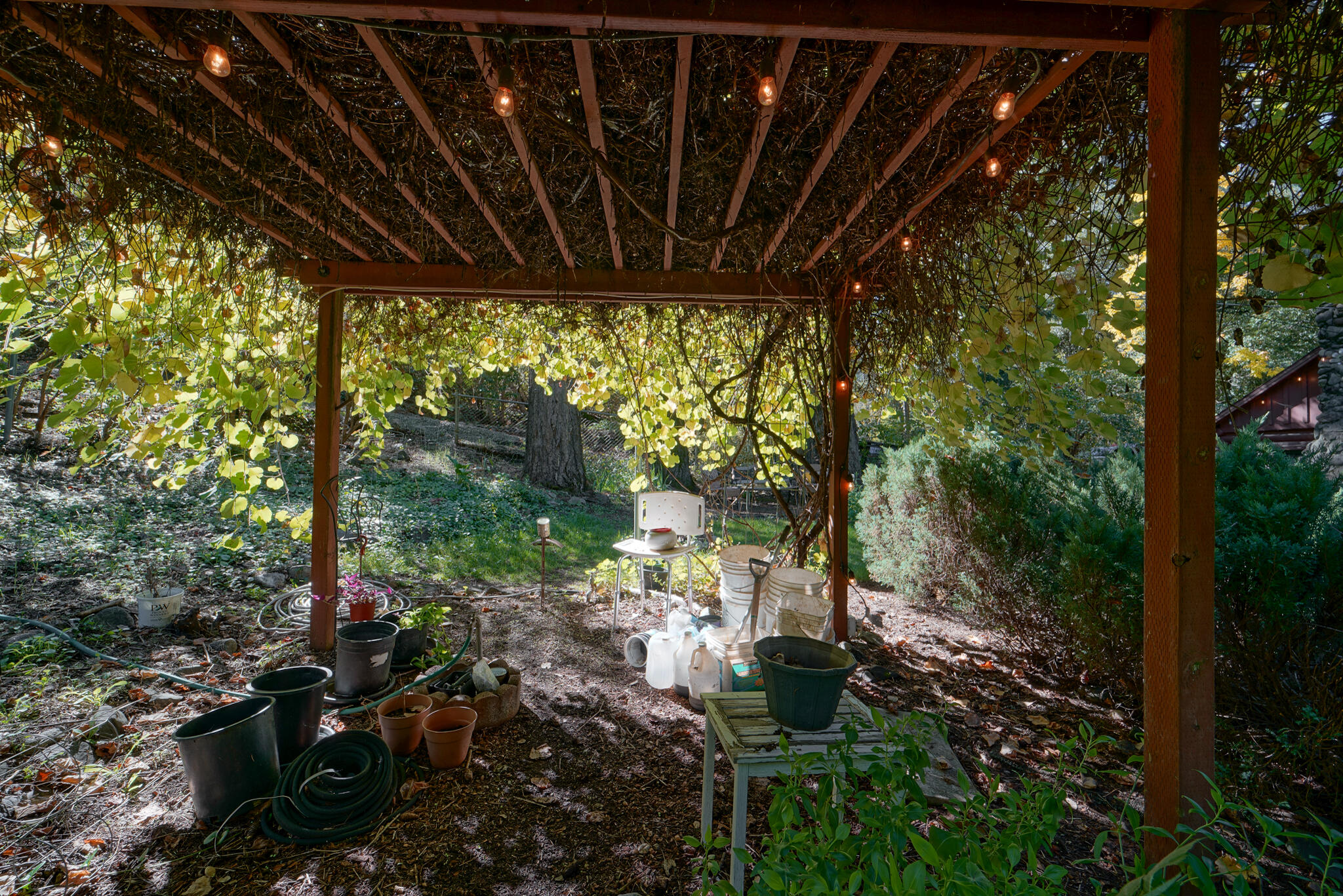 main property photo 56
