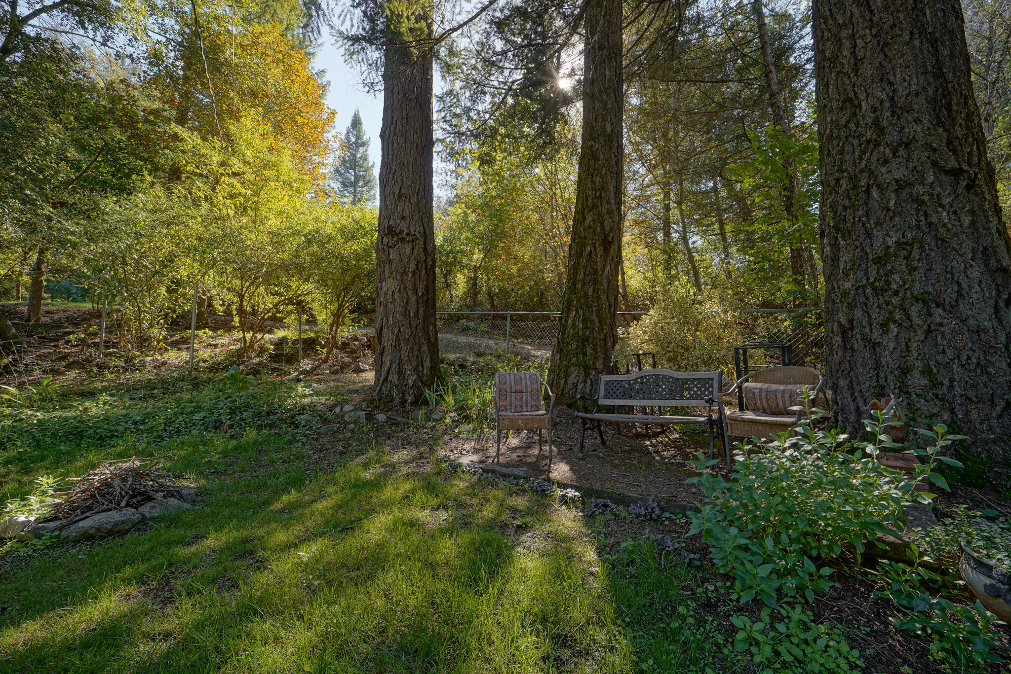 main property photo 57