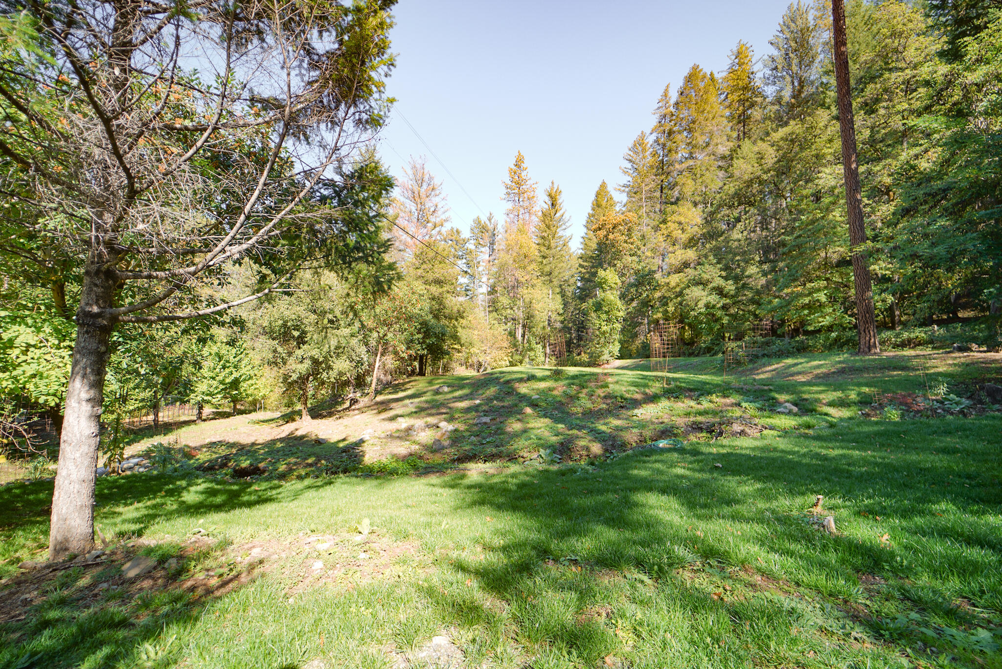 main property photo 58