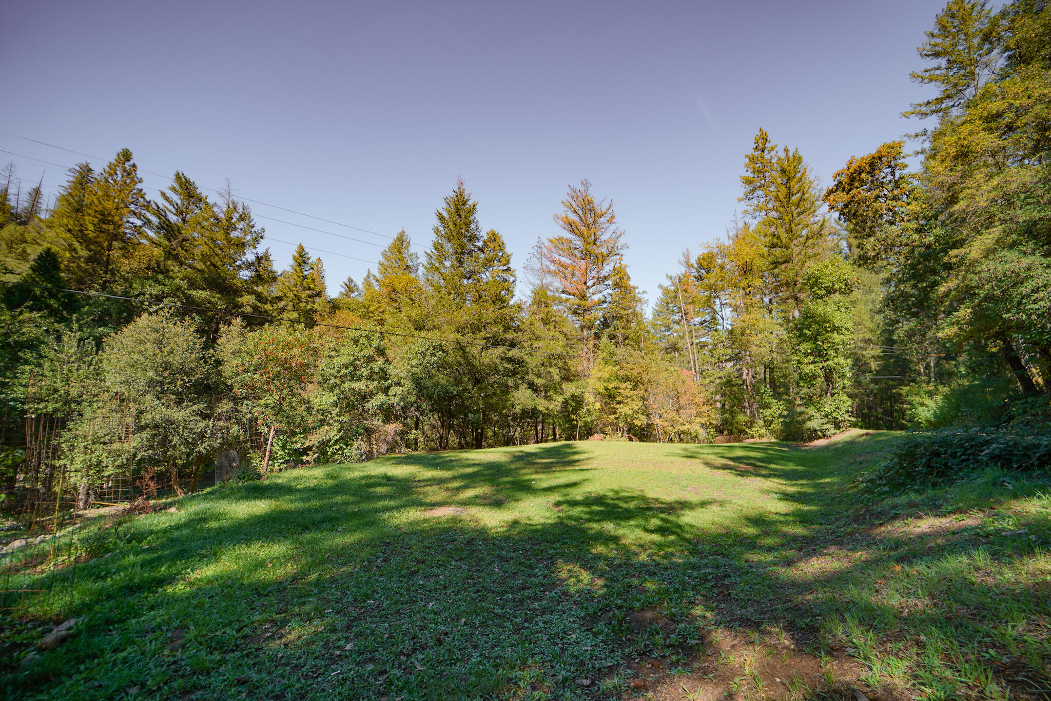 main property photo 60