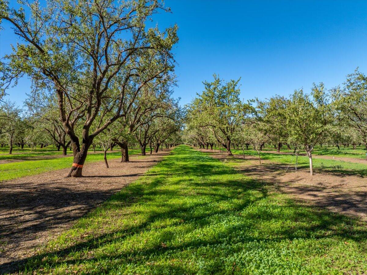 main property photo 88