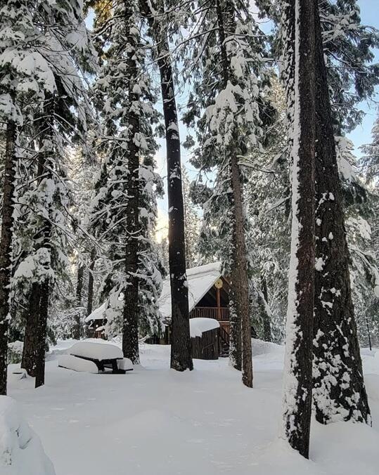 main property photo 126