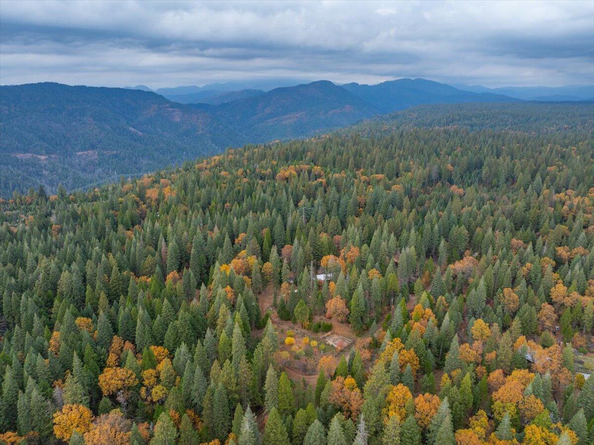 main property photo 135