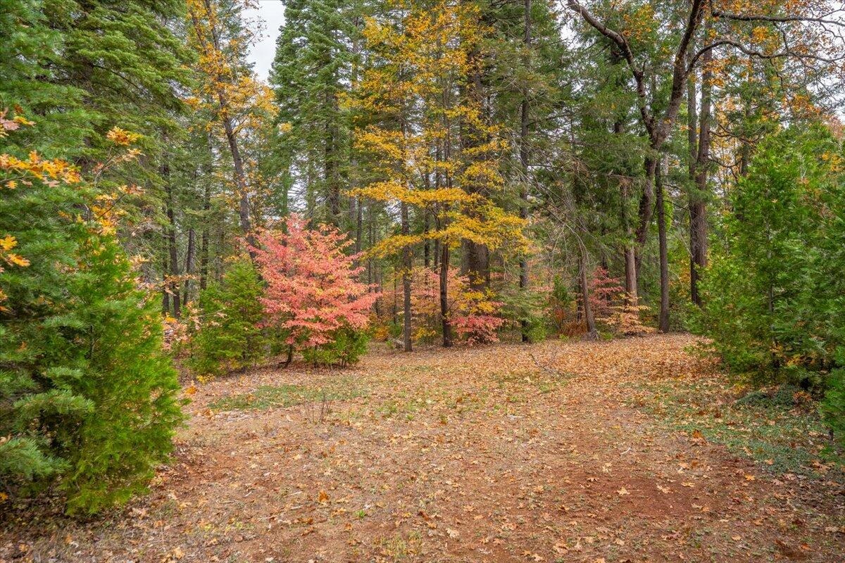 main property photo 83