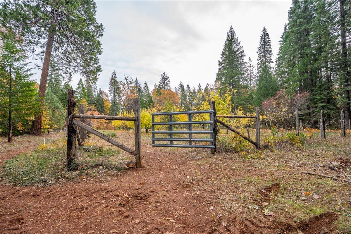 main property photo 87
