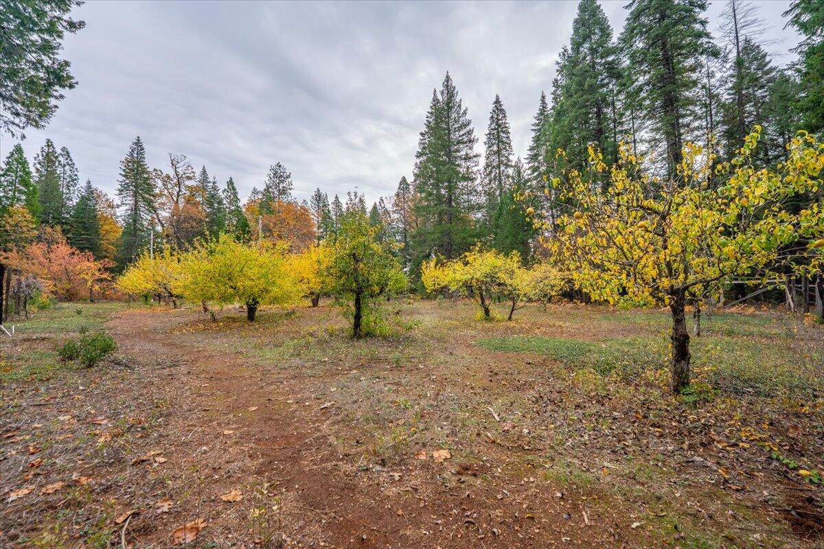 main property photo 89