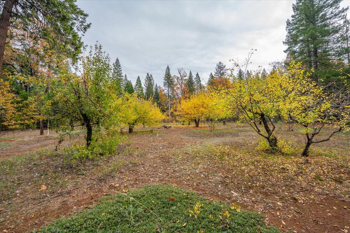 main property photo 91