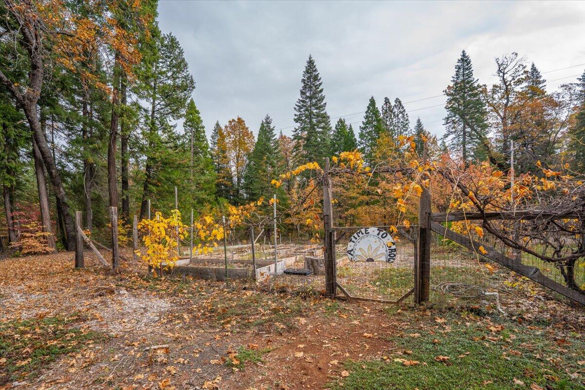 main property photo 92
