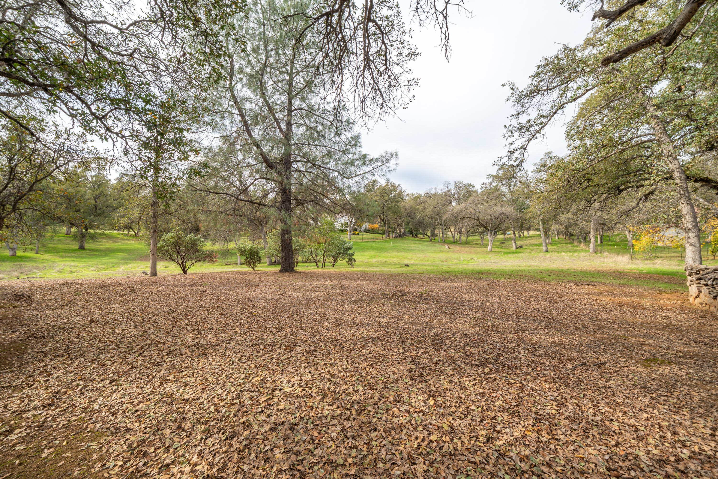 main property photo 103