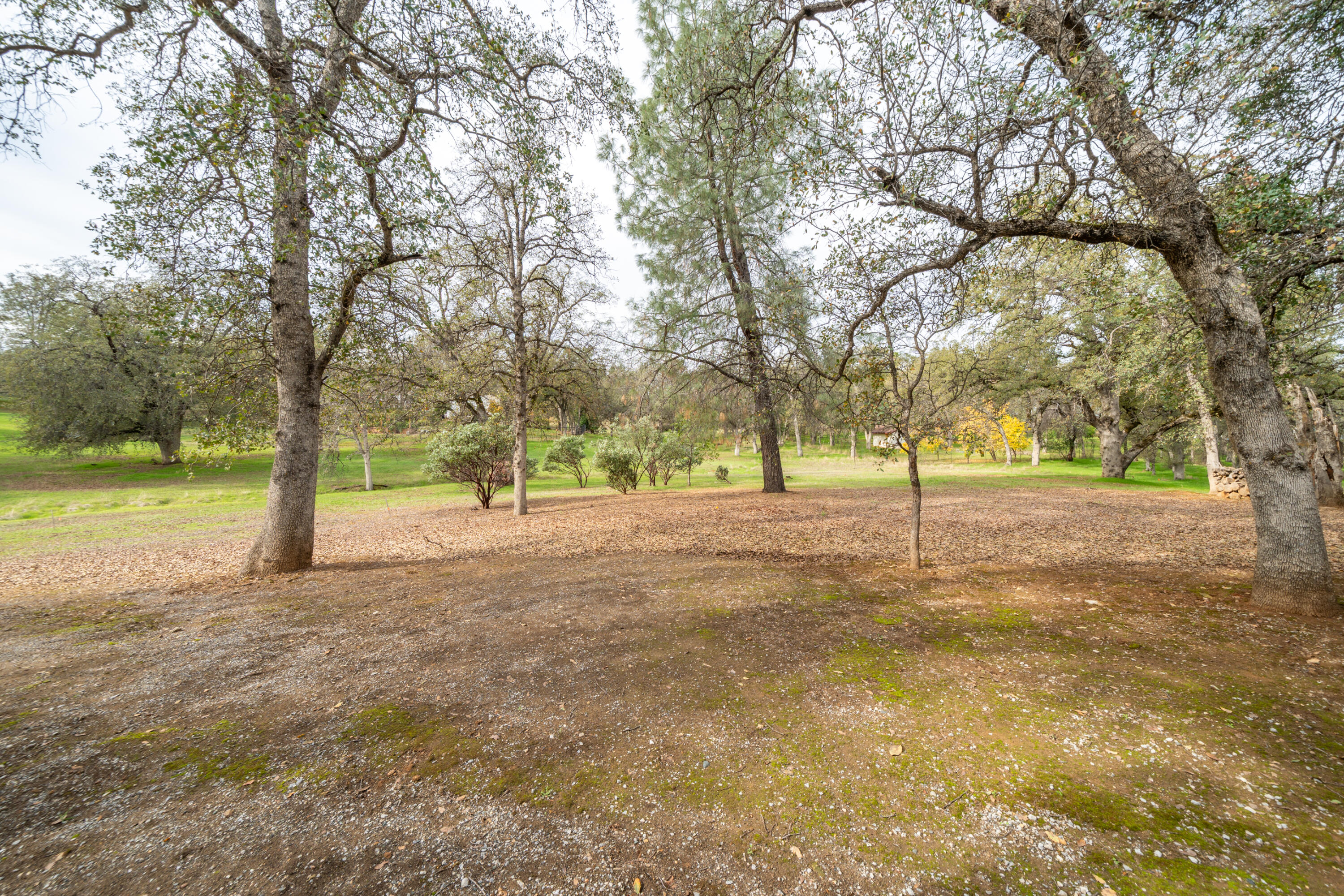 main property photo 104