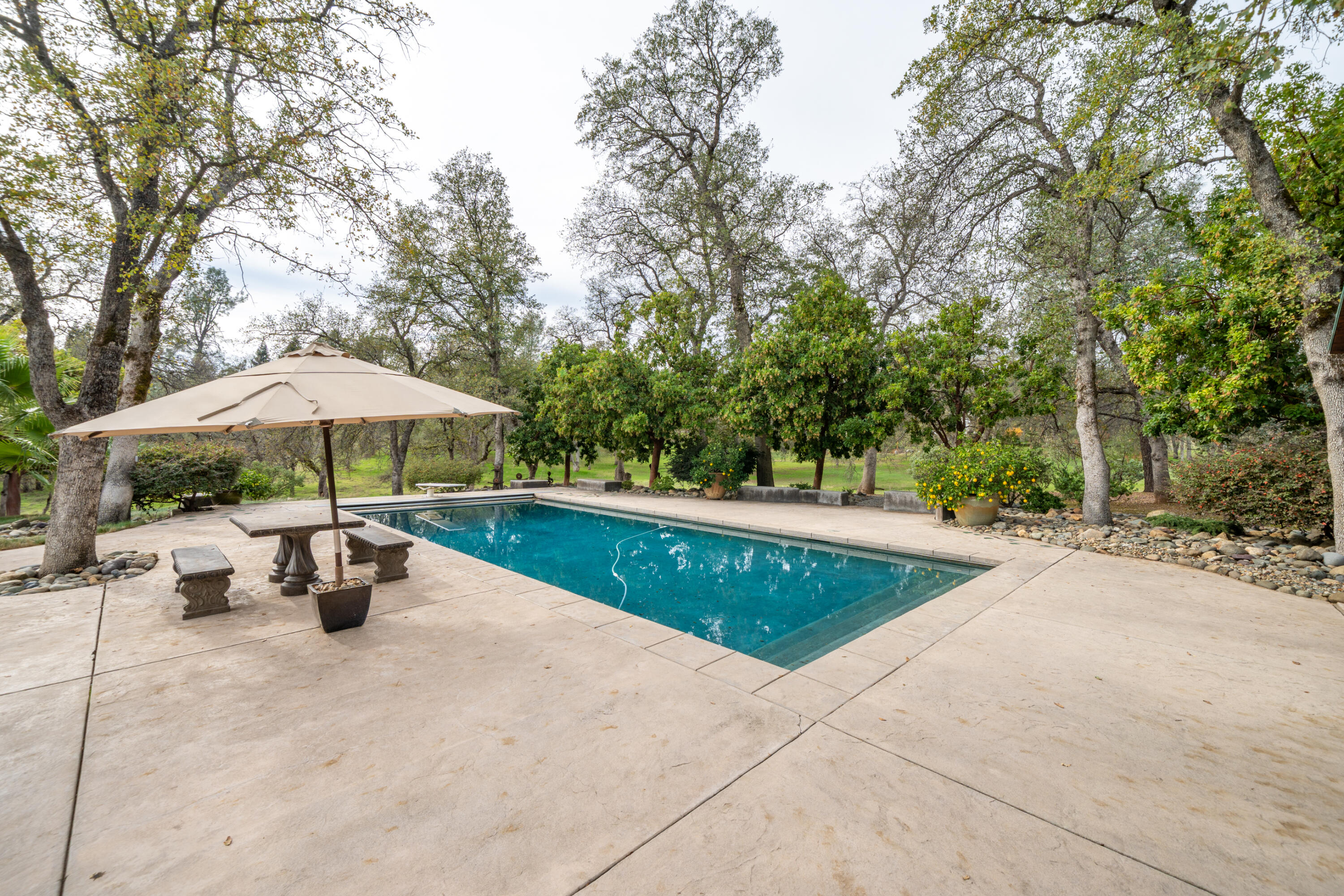 main property photo 78