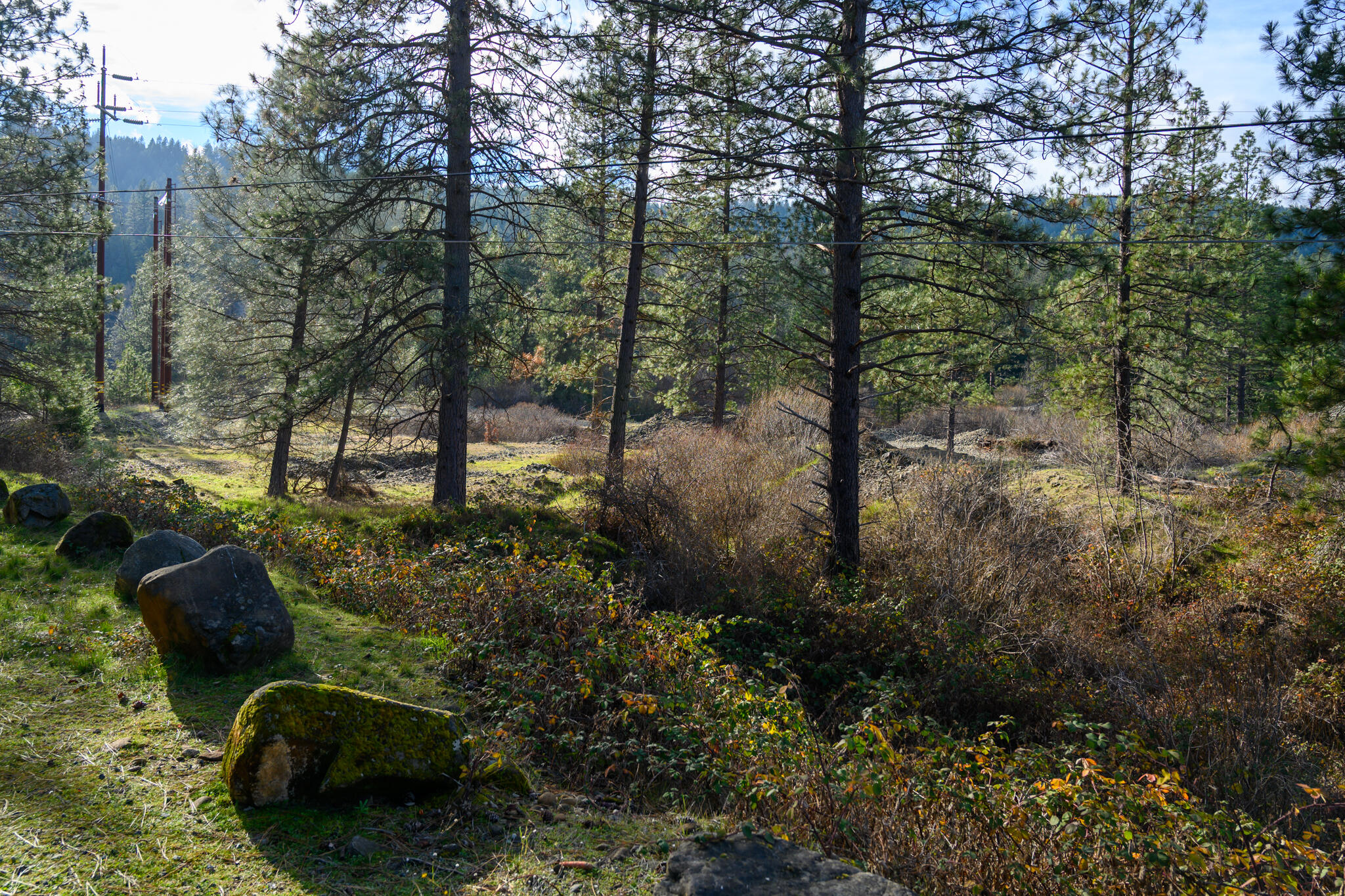 main property photo 48