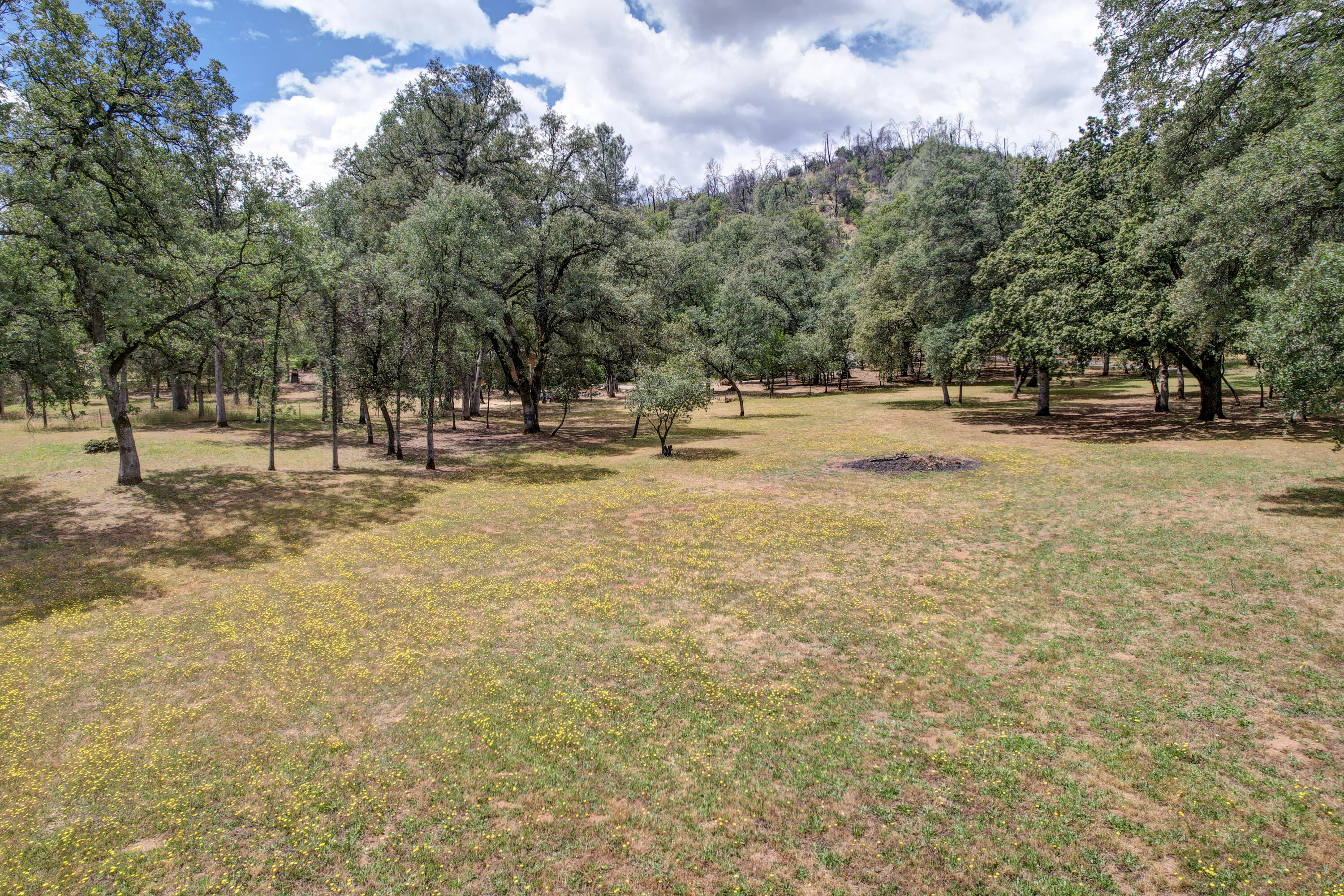 main property photo 51