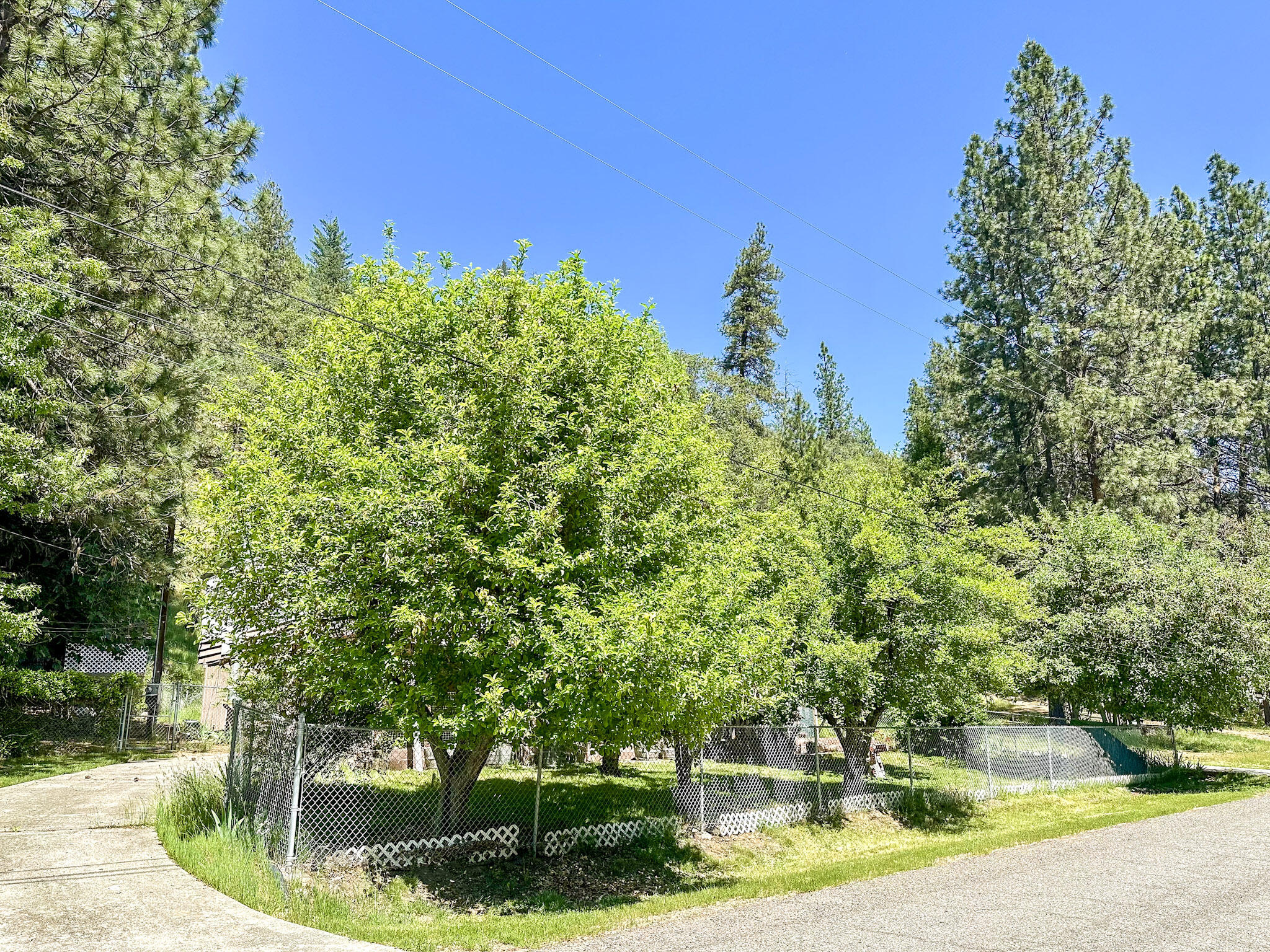 main property photo 40
