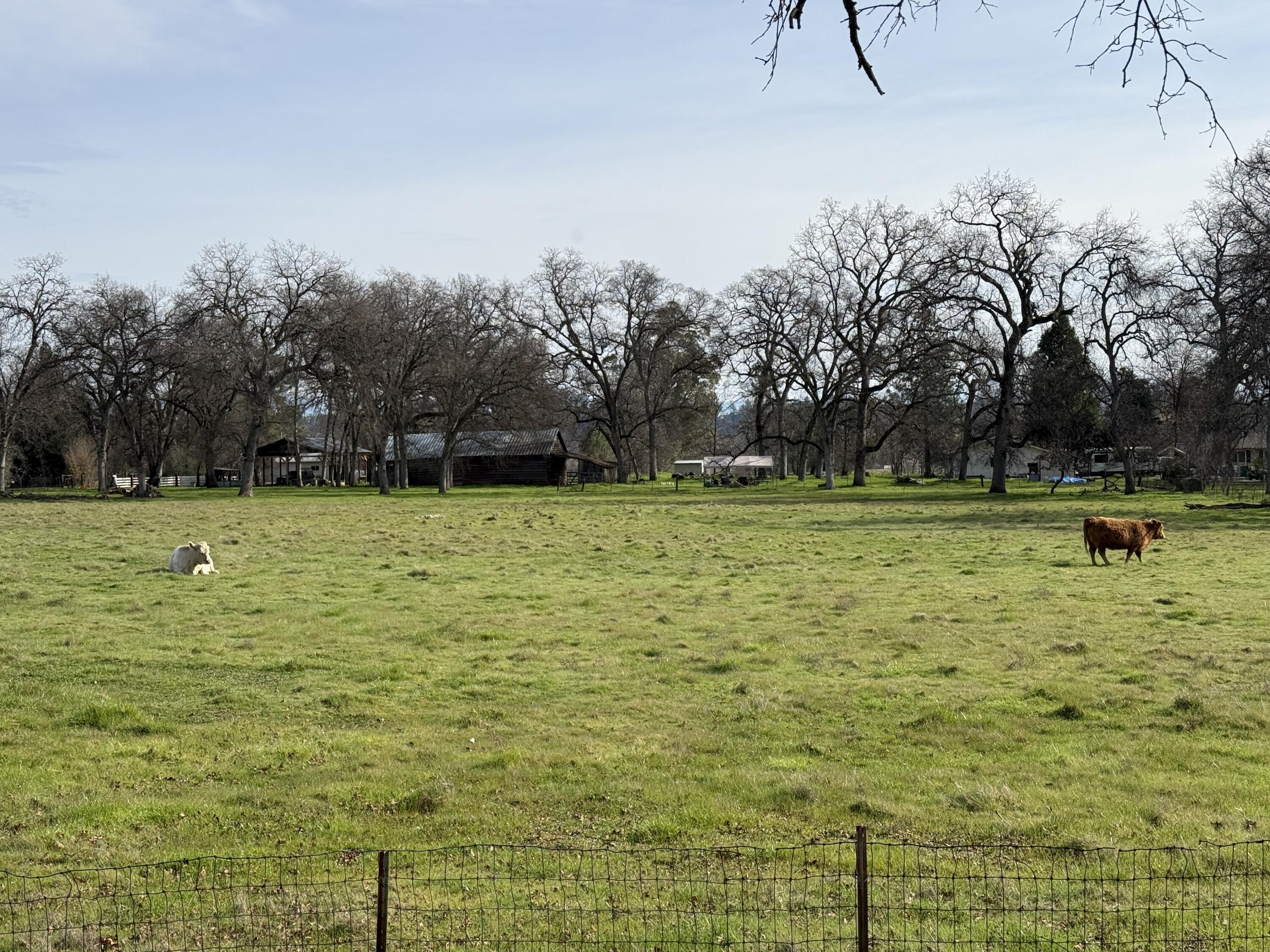 main property photo 33