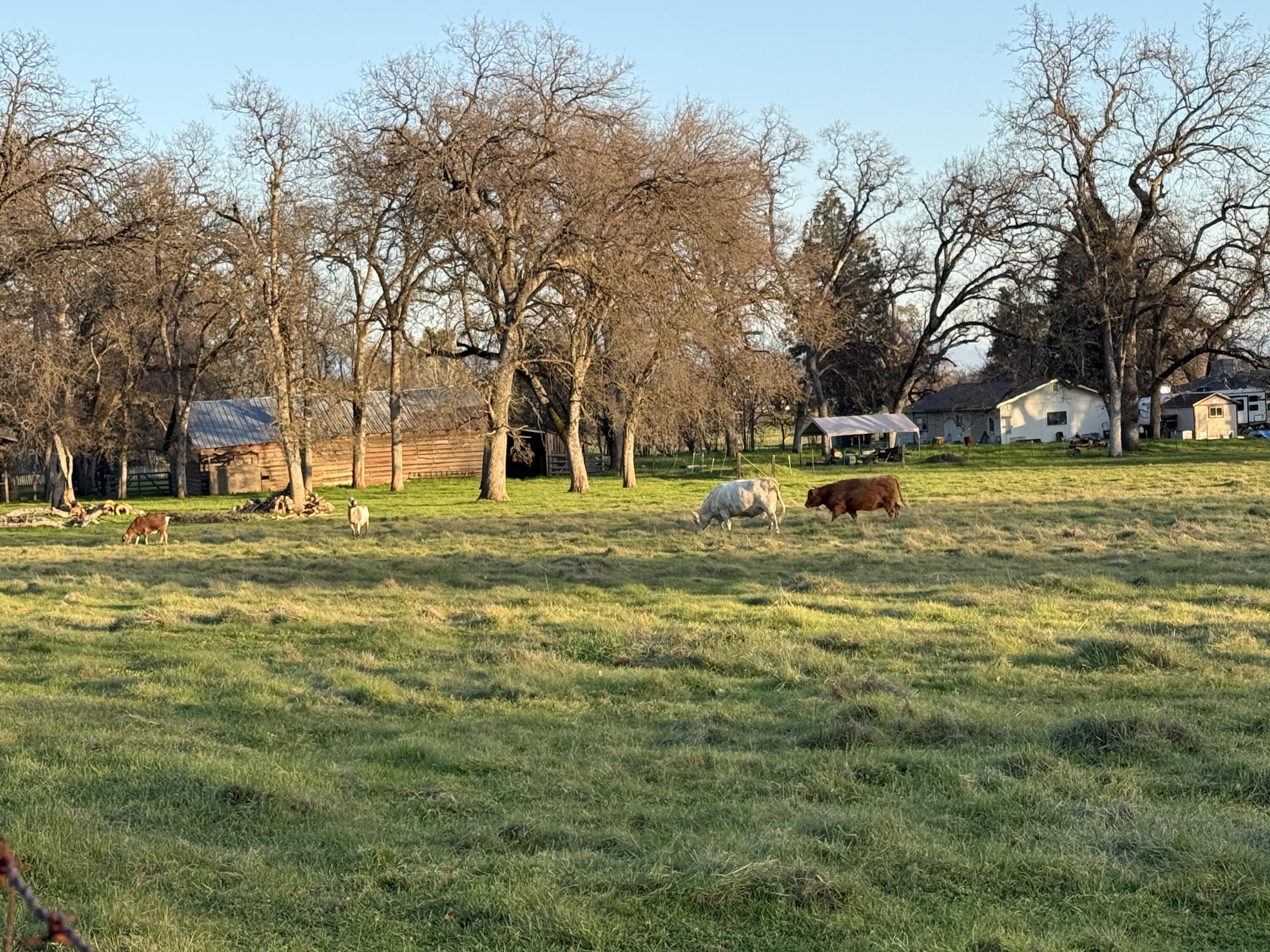 main property photo 34