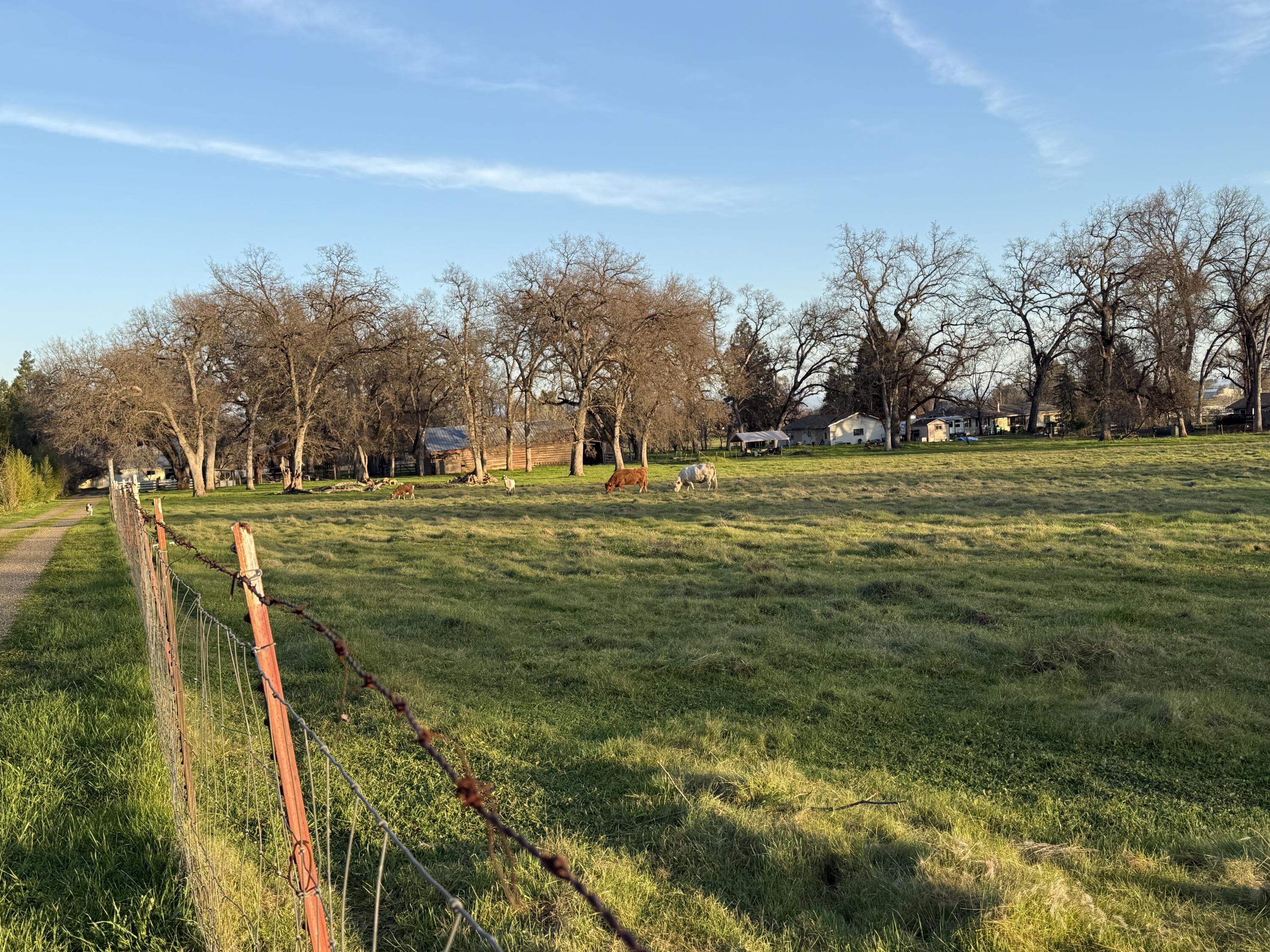main property photo 35