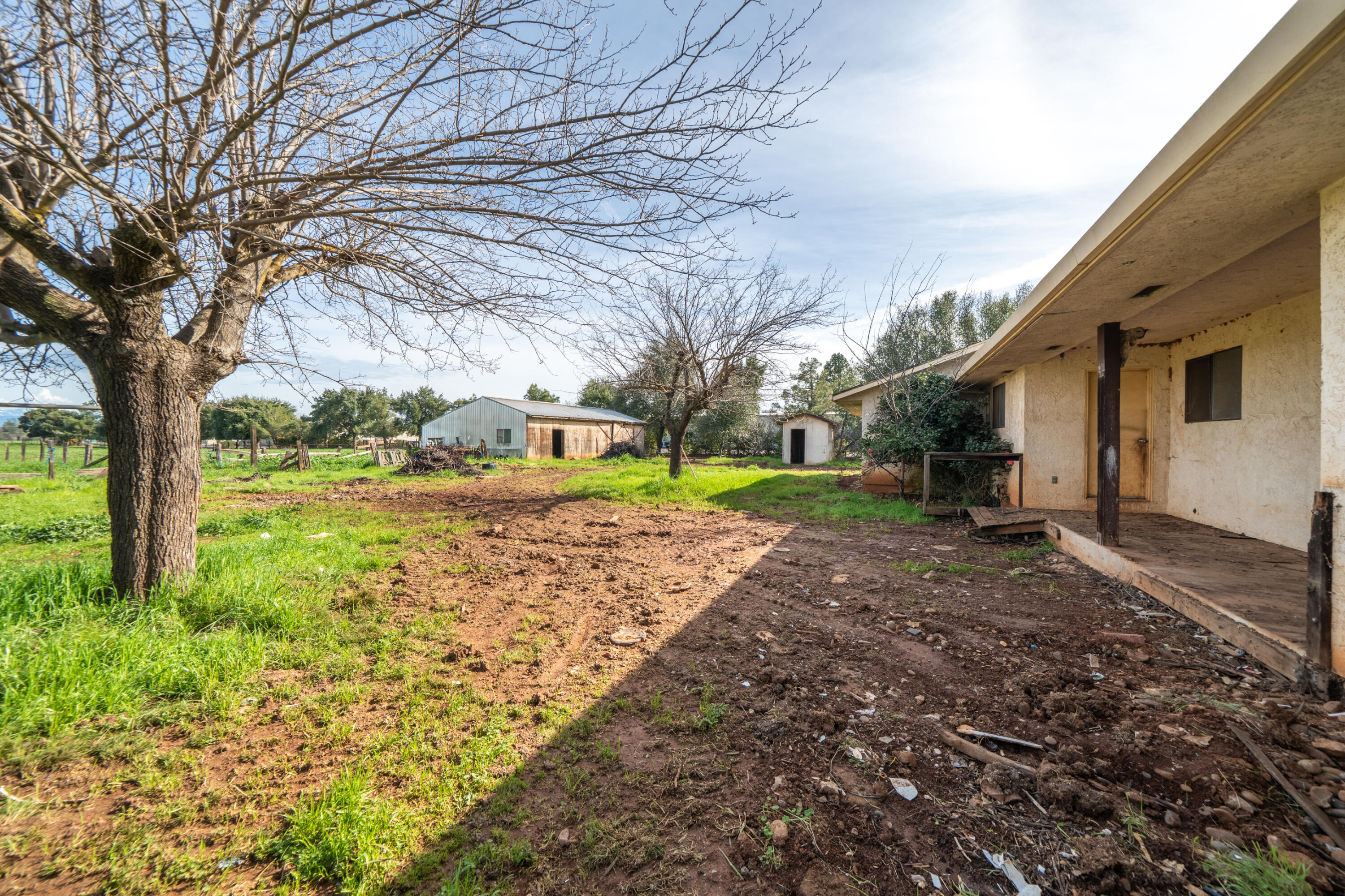 main property photo 25