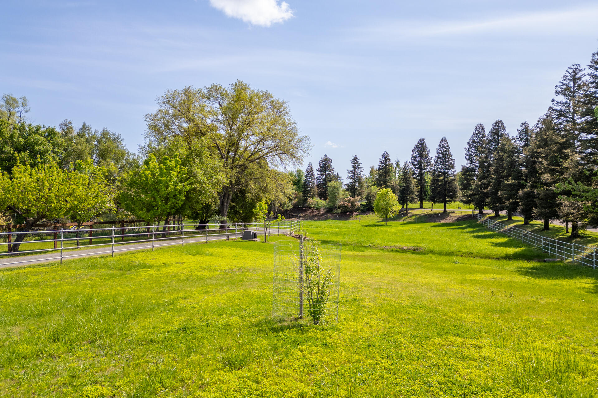 main property photo 51
