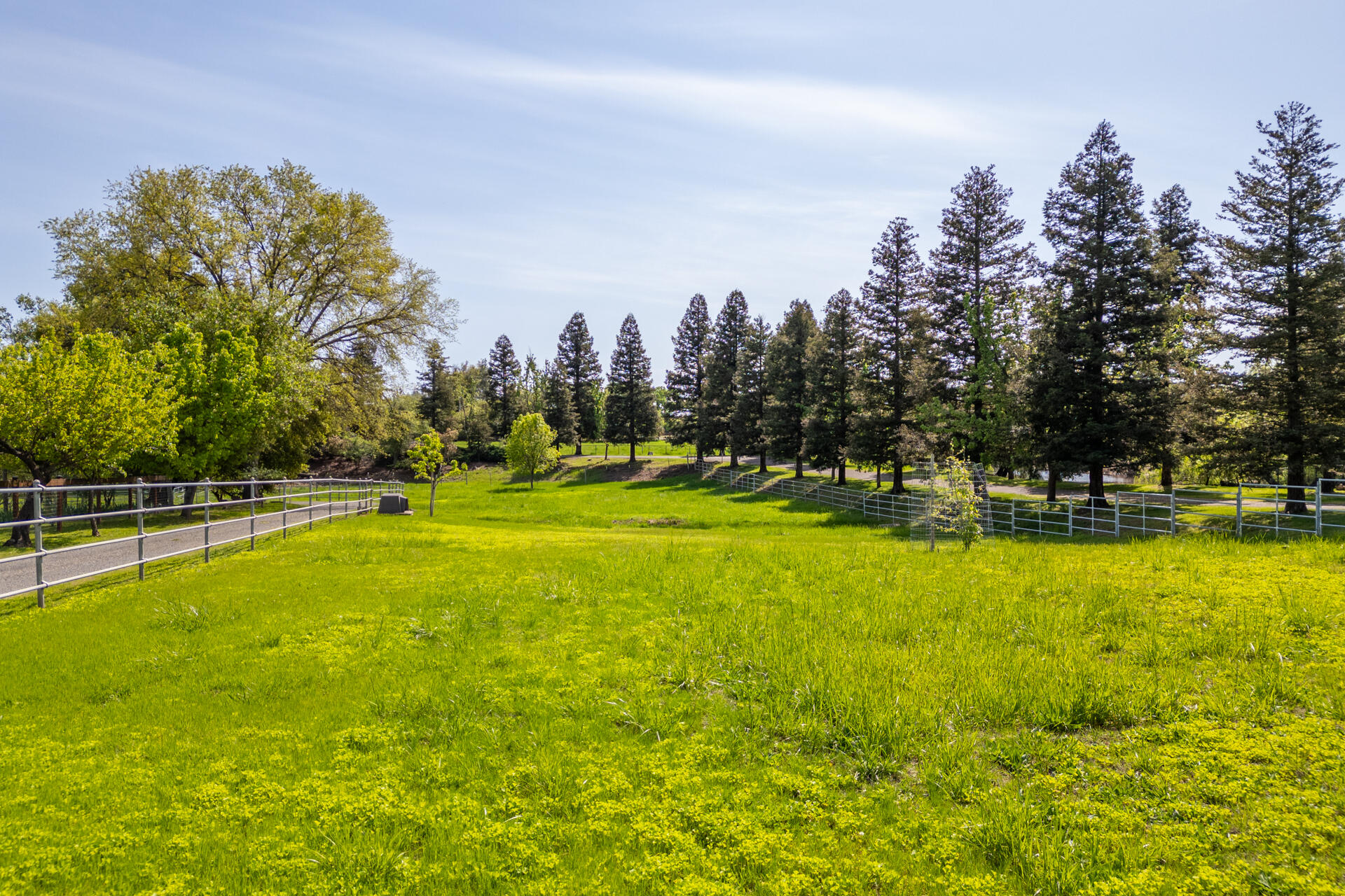 main property photo 57